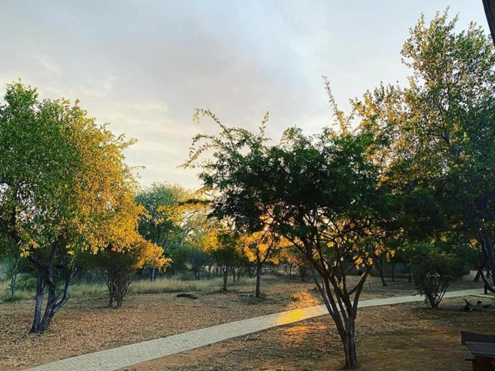 Kubu Bush Lodge view 5