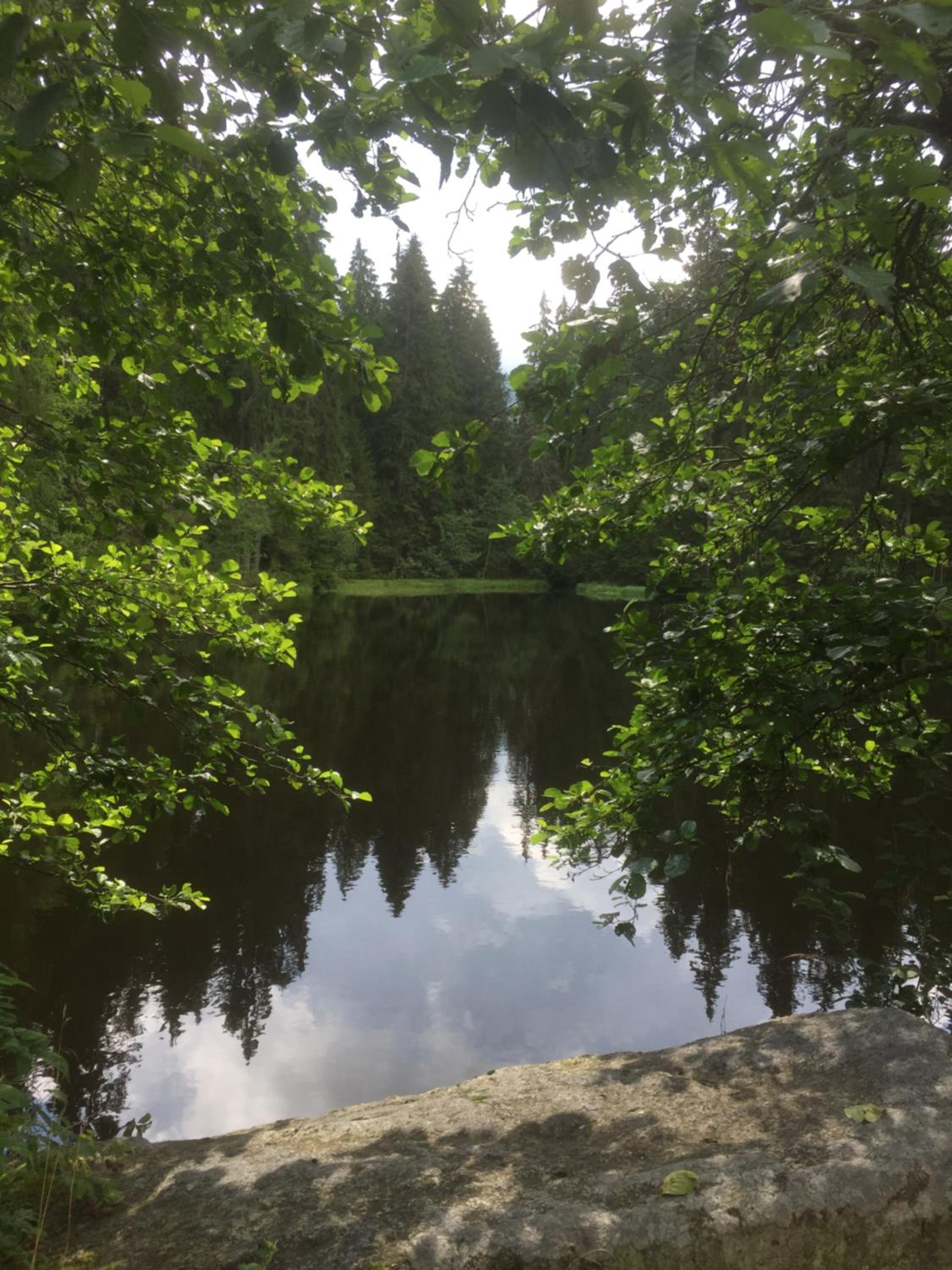 Photo 17