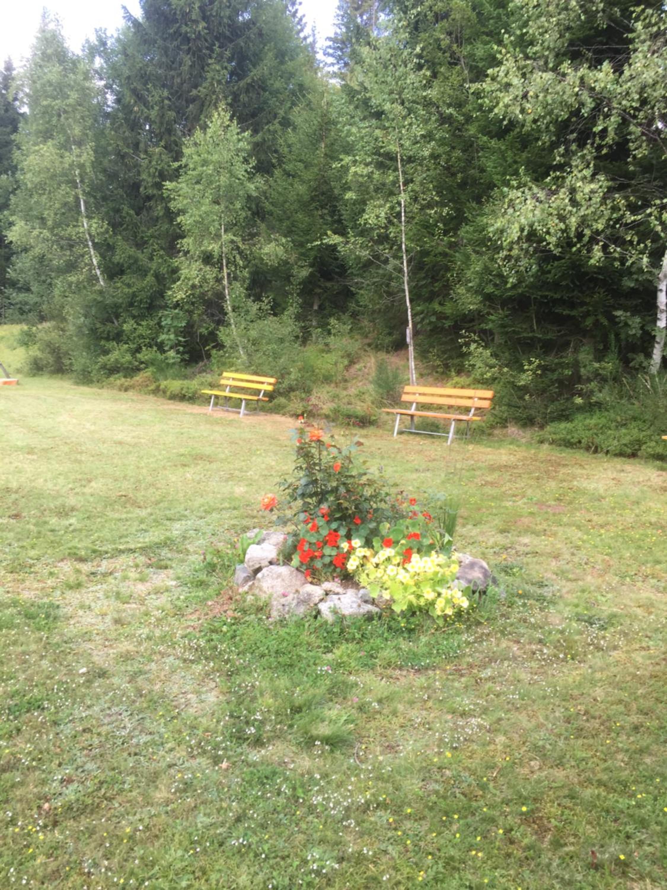 Photo 18