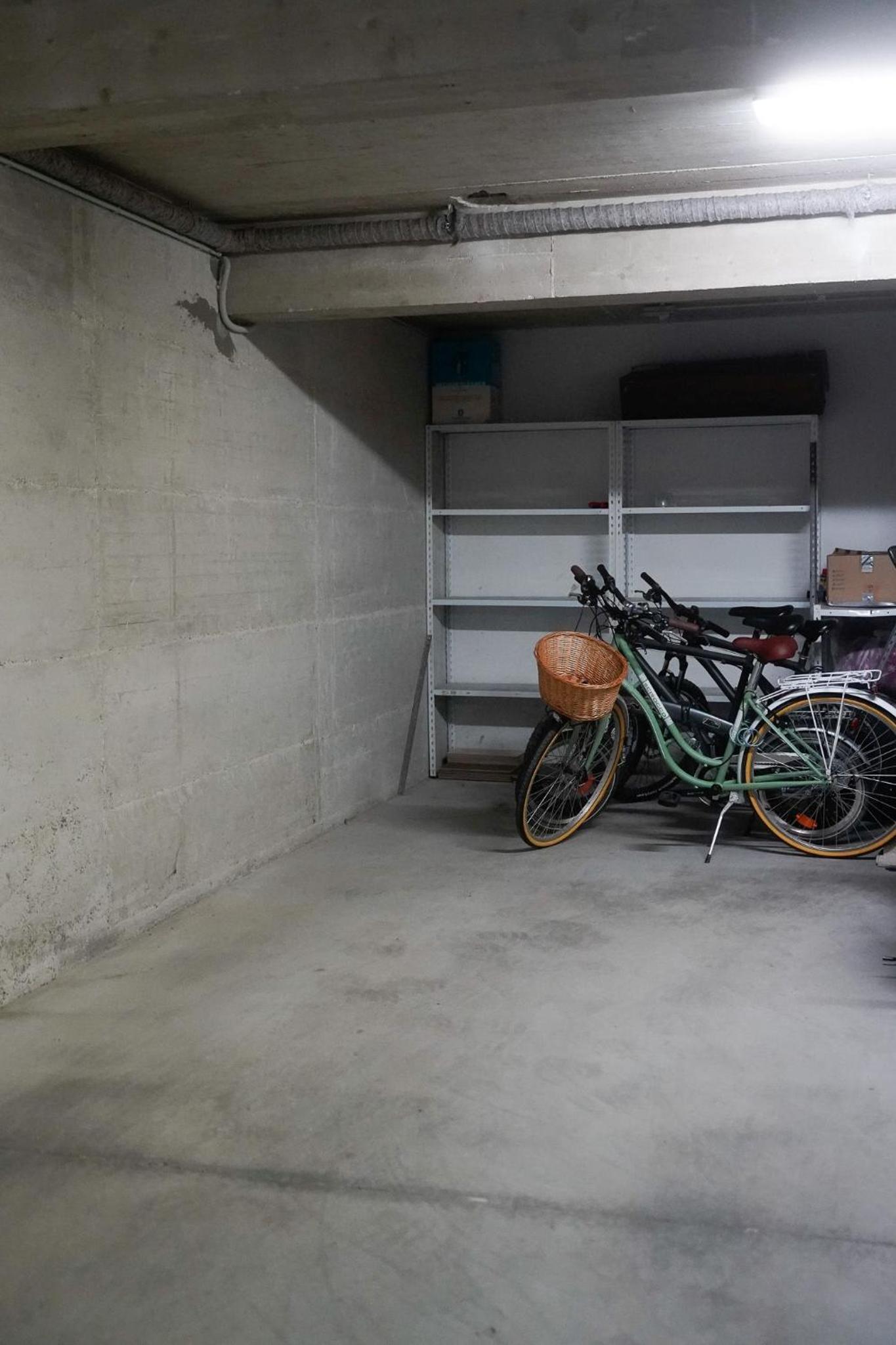 Dandelion apartment Rovinj-Free bikes