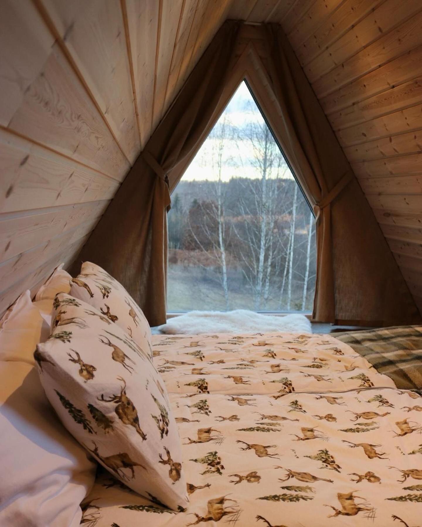 Lagom Lodge view 2
