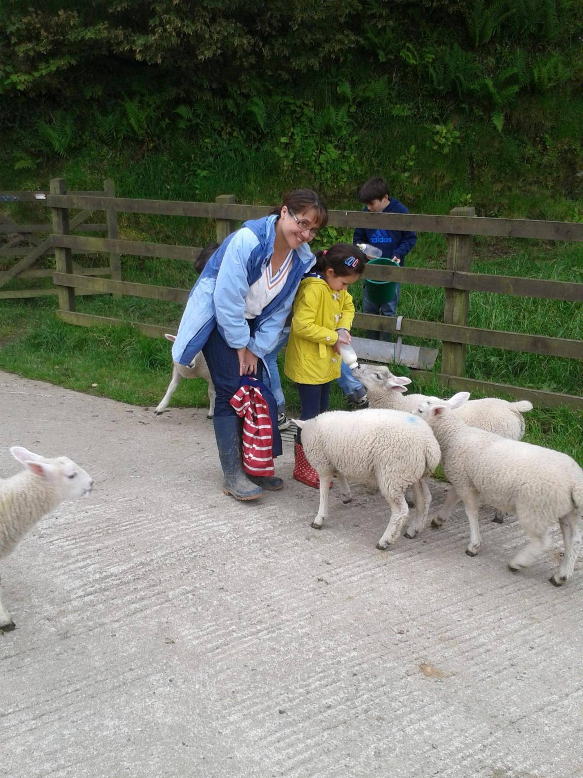 Fentrigan Manor Farm & Holiday Cottages