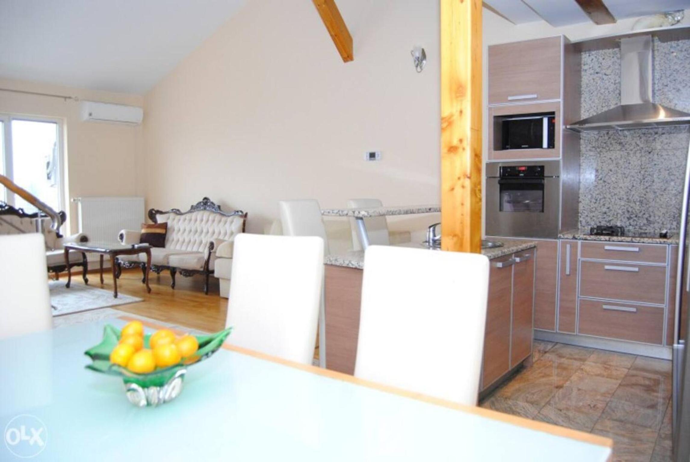 Spacious modern house in Sarajevo with parking
