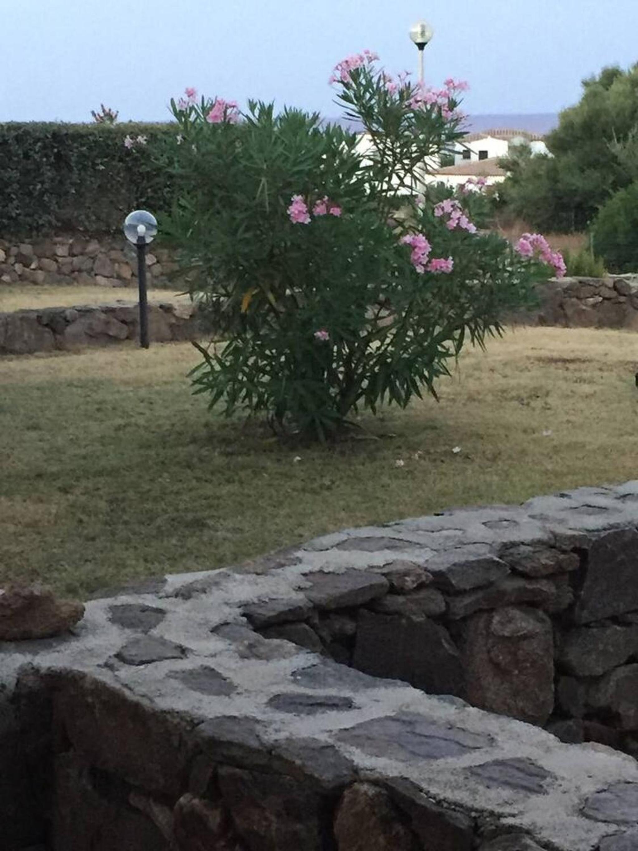 Cozy house in Tanaunella Budoni + close to the beaches view 3