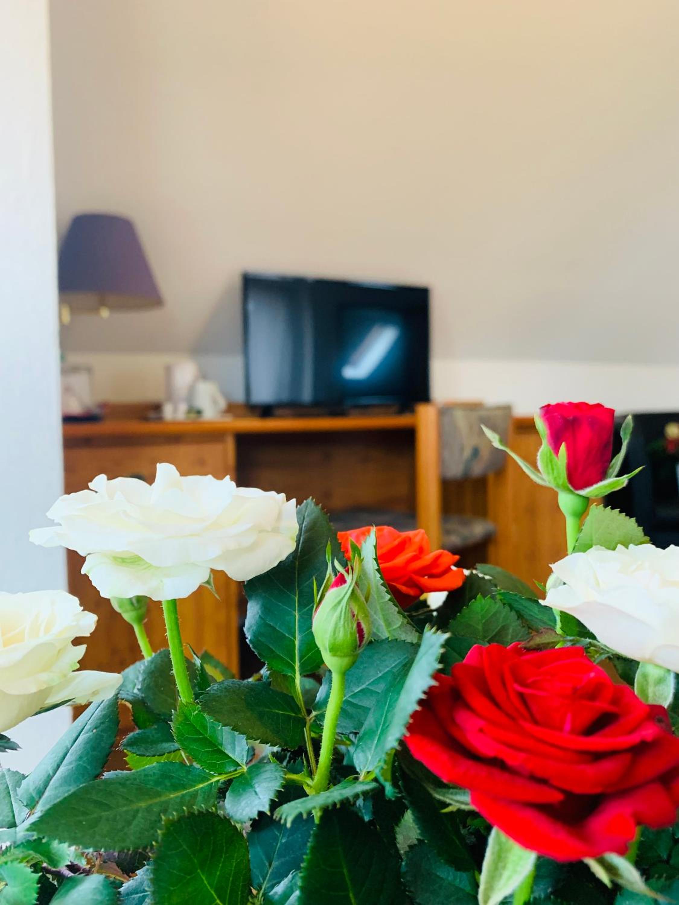 Hotel Garni