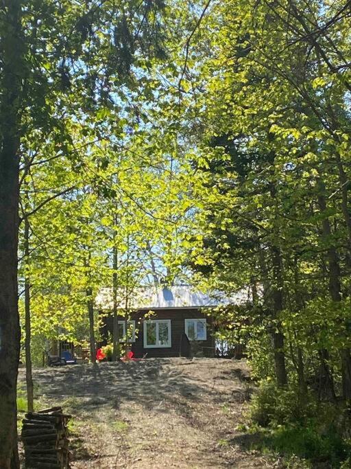 chalet Ani