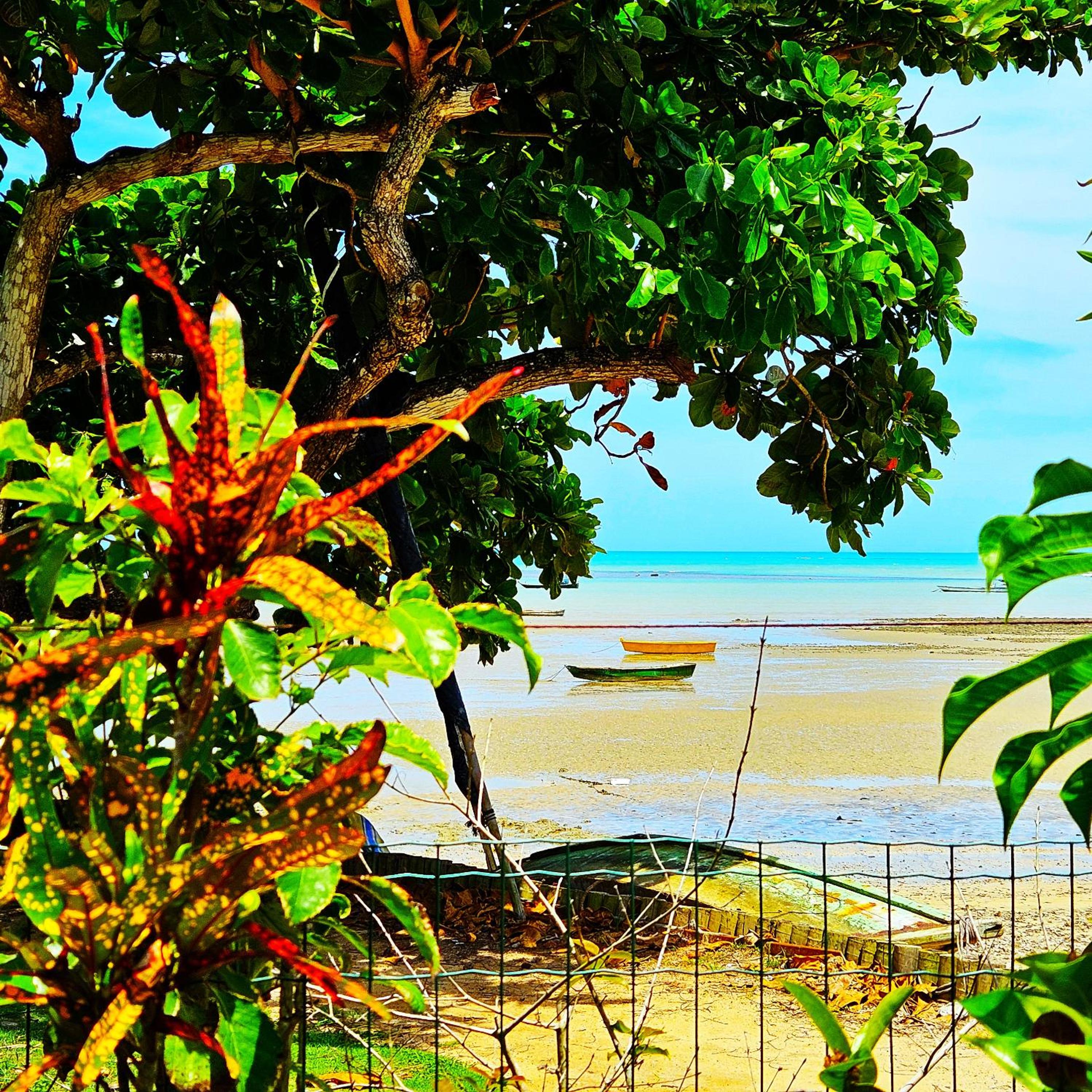 Pe na Areia Studios Cumuruxatiba BA