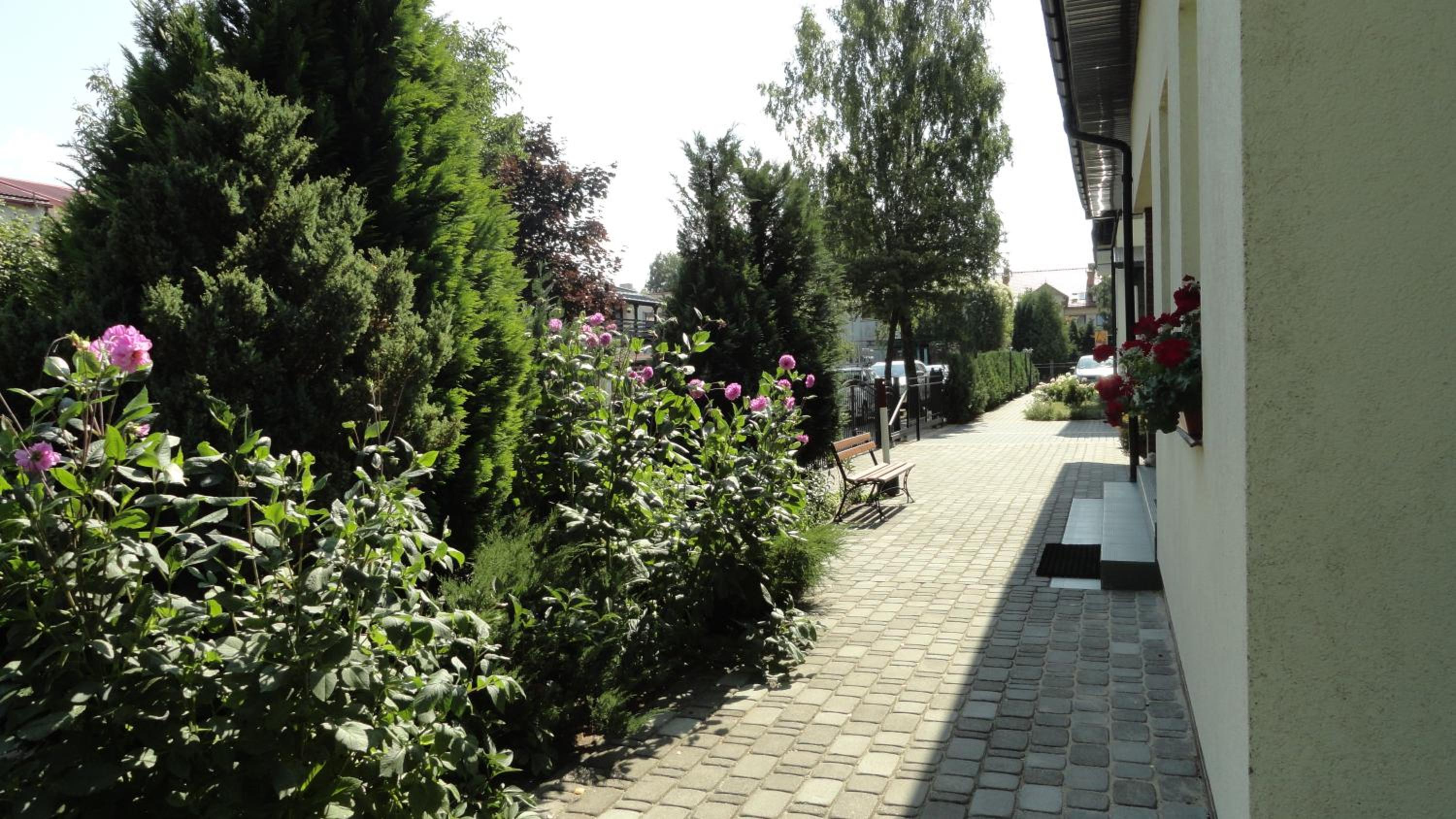 Photo 42