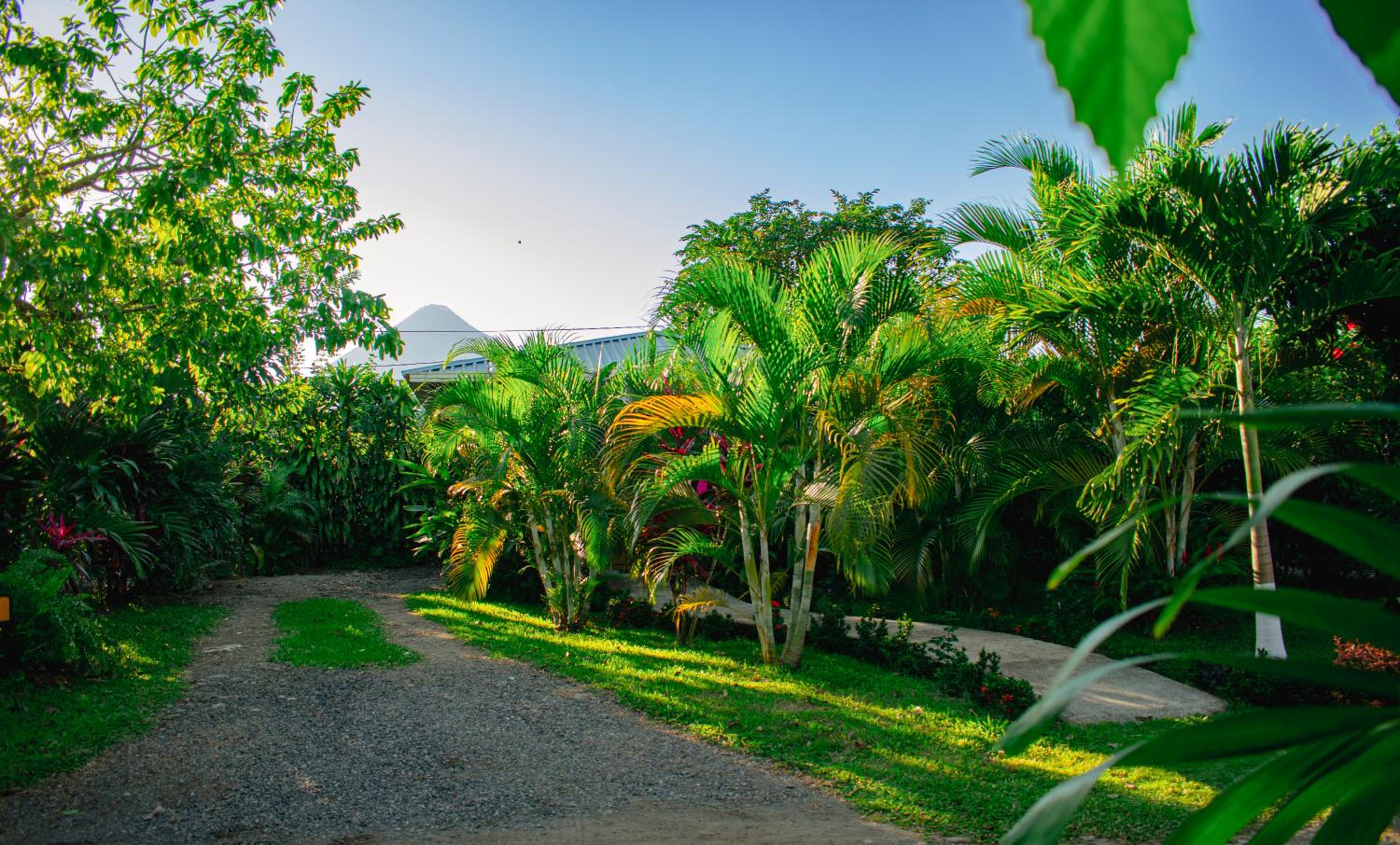 Arenal Descanso