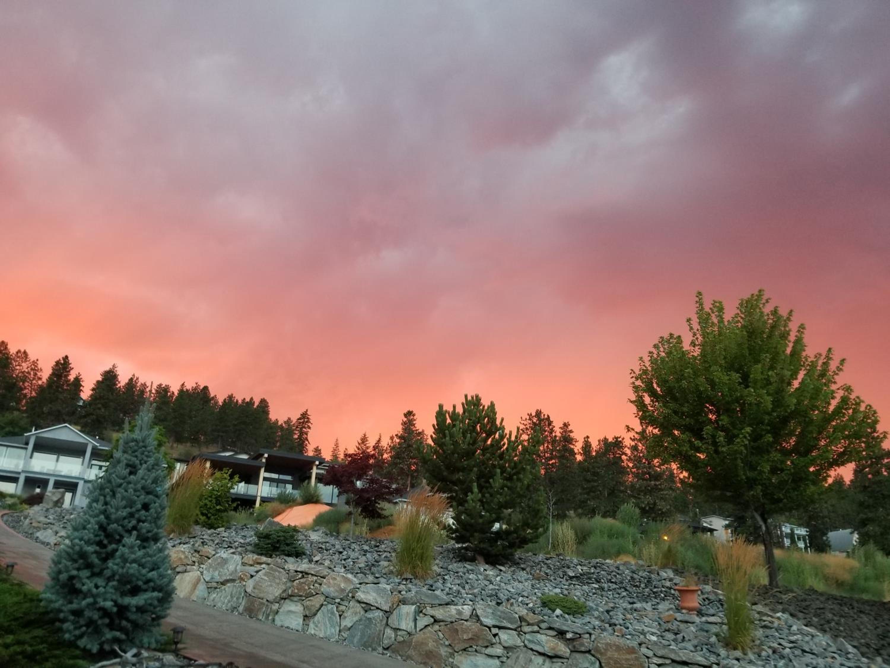 A taste of Mexico in the heart of wine country.