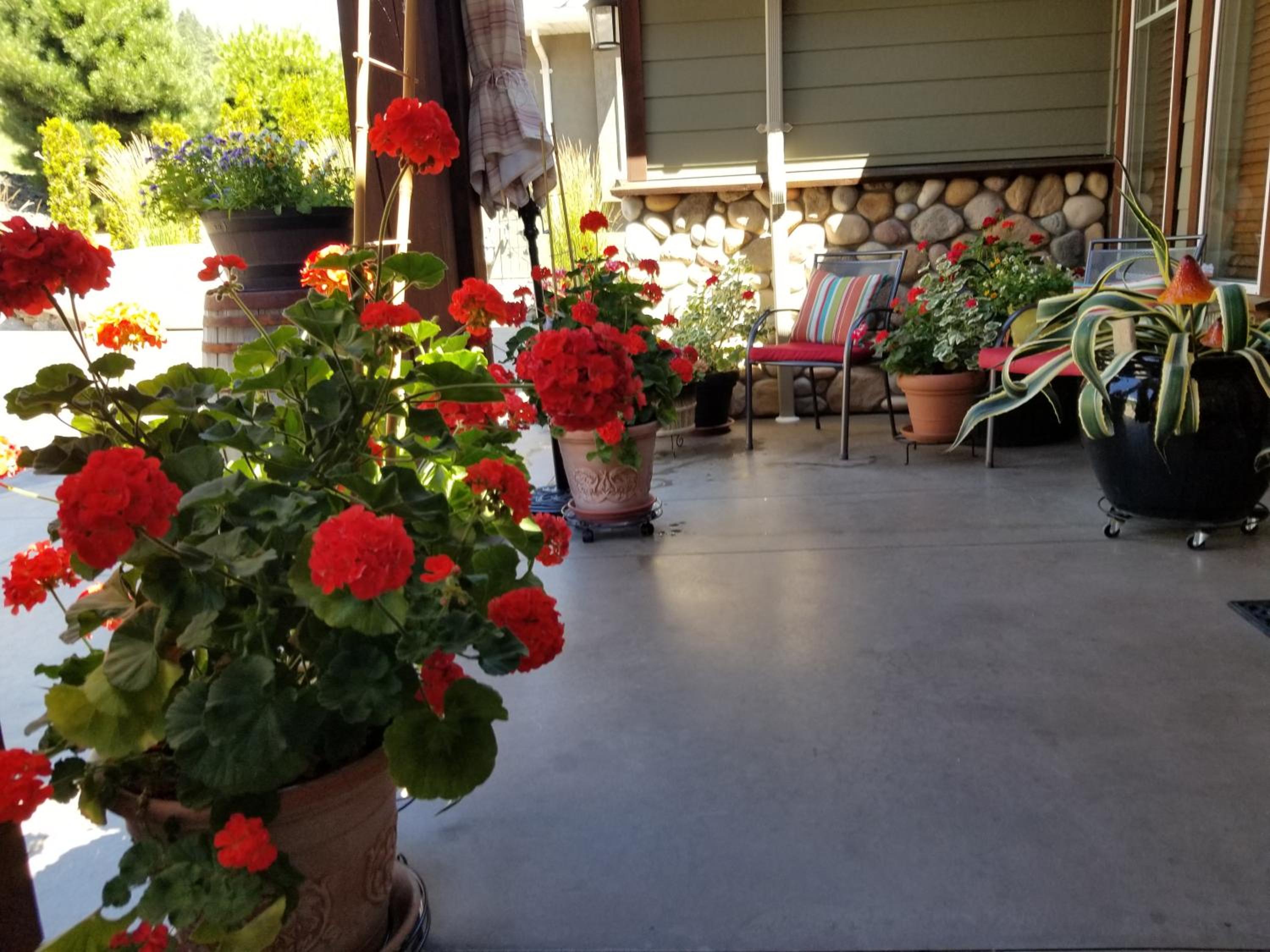 A taste of Mexico in the heart of wine country.