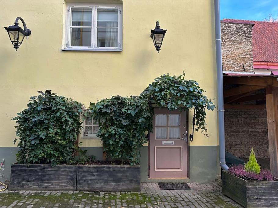 Tallinn Vacations - Cozy  unique stay in old town - Property Image 12