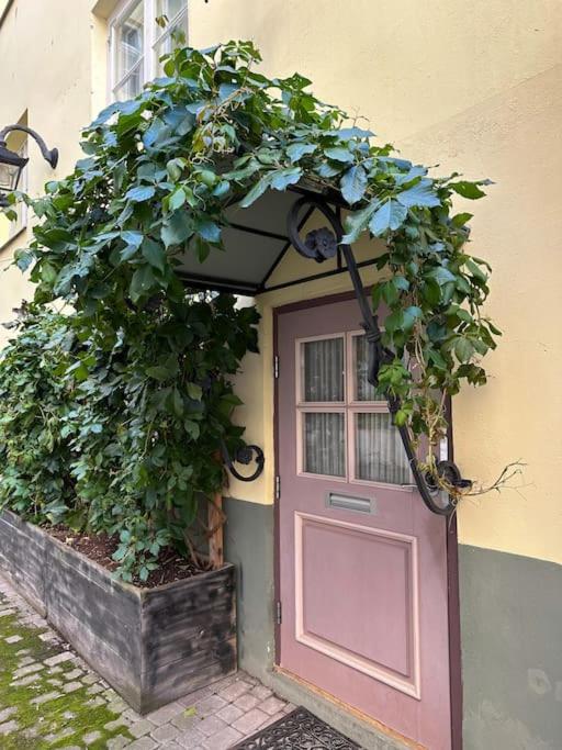 Tallinn Vacations - Cozy unique stay in old town - Property Image 7