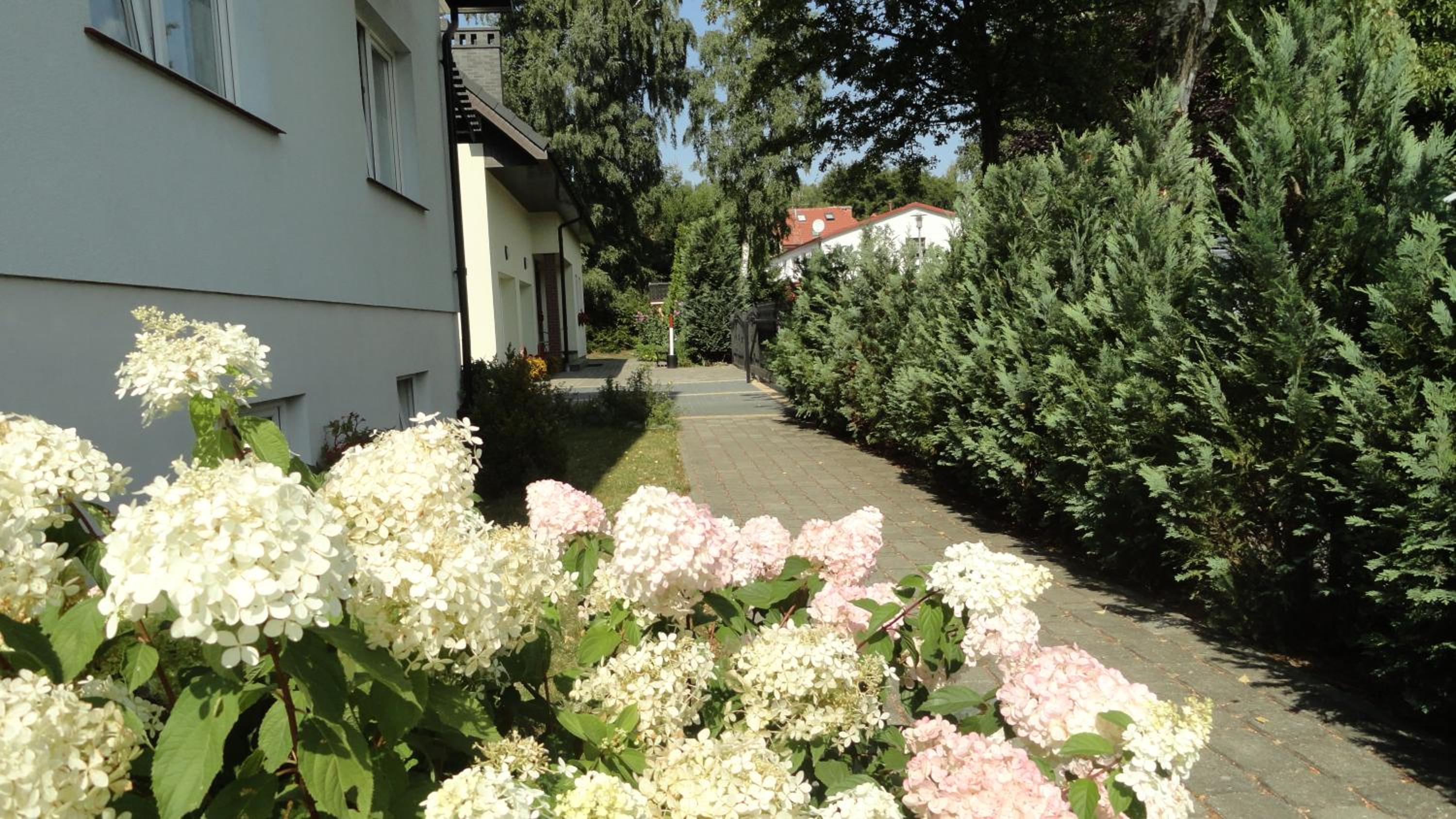 Photo 29