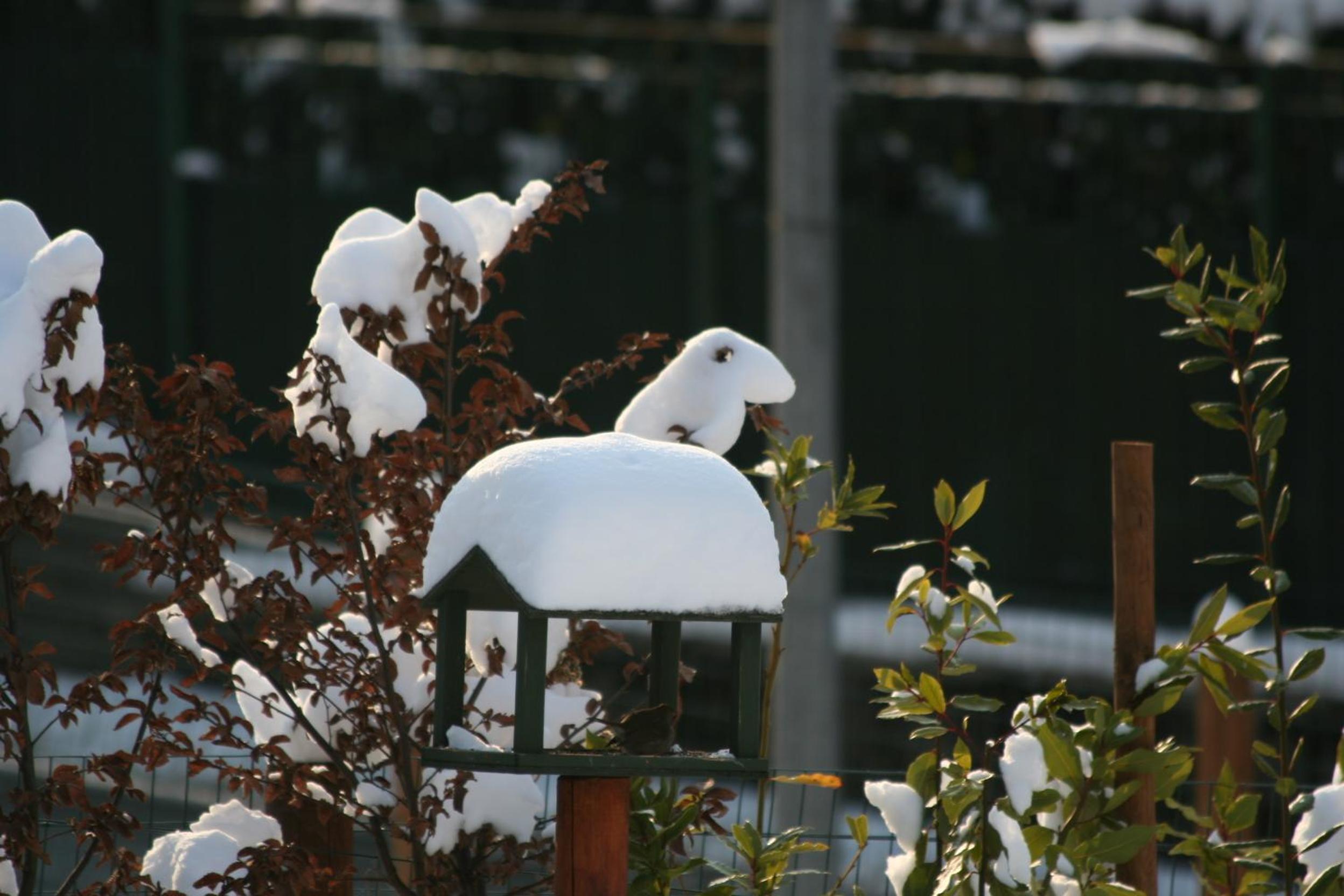 Photo 20