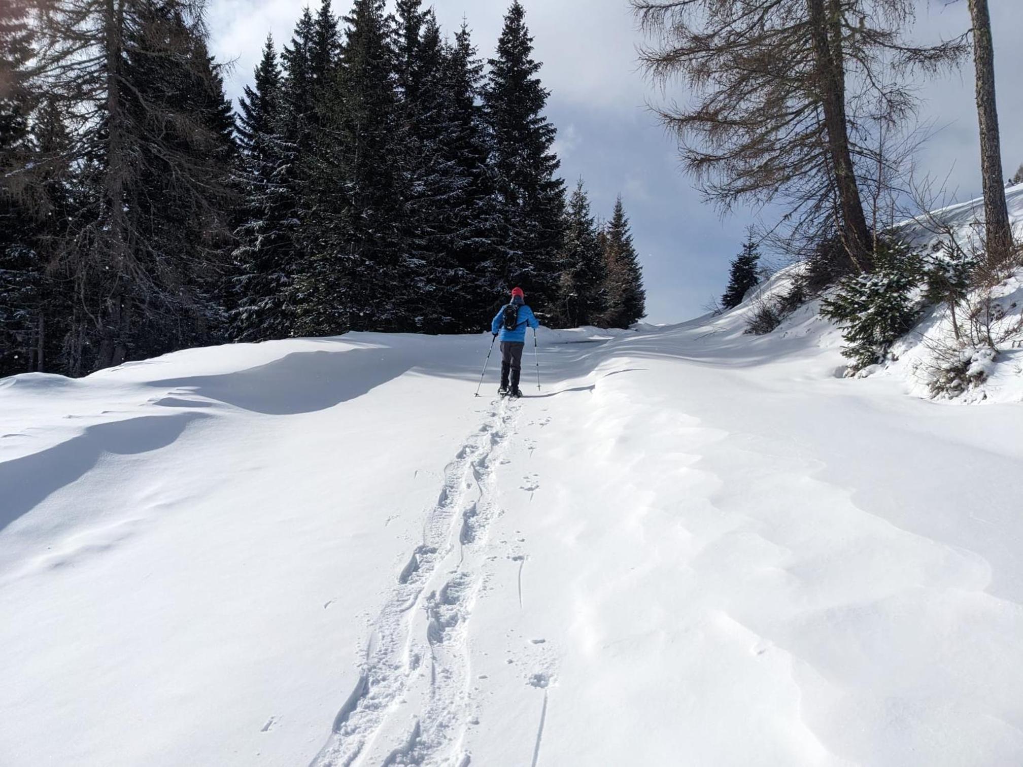 LaLo Alm - Berge erleben