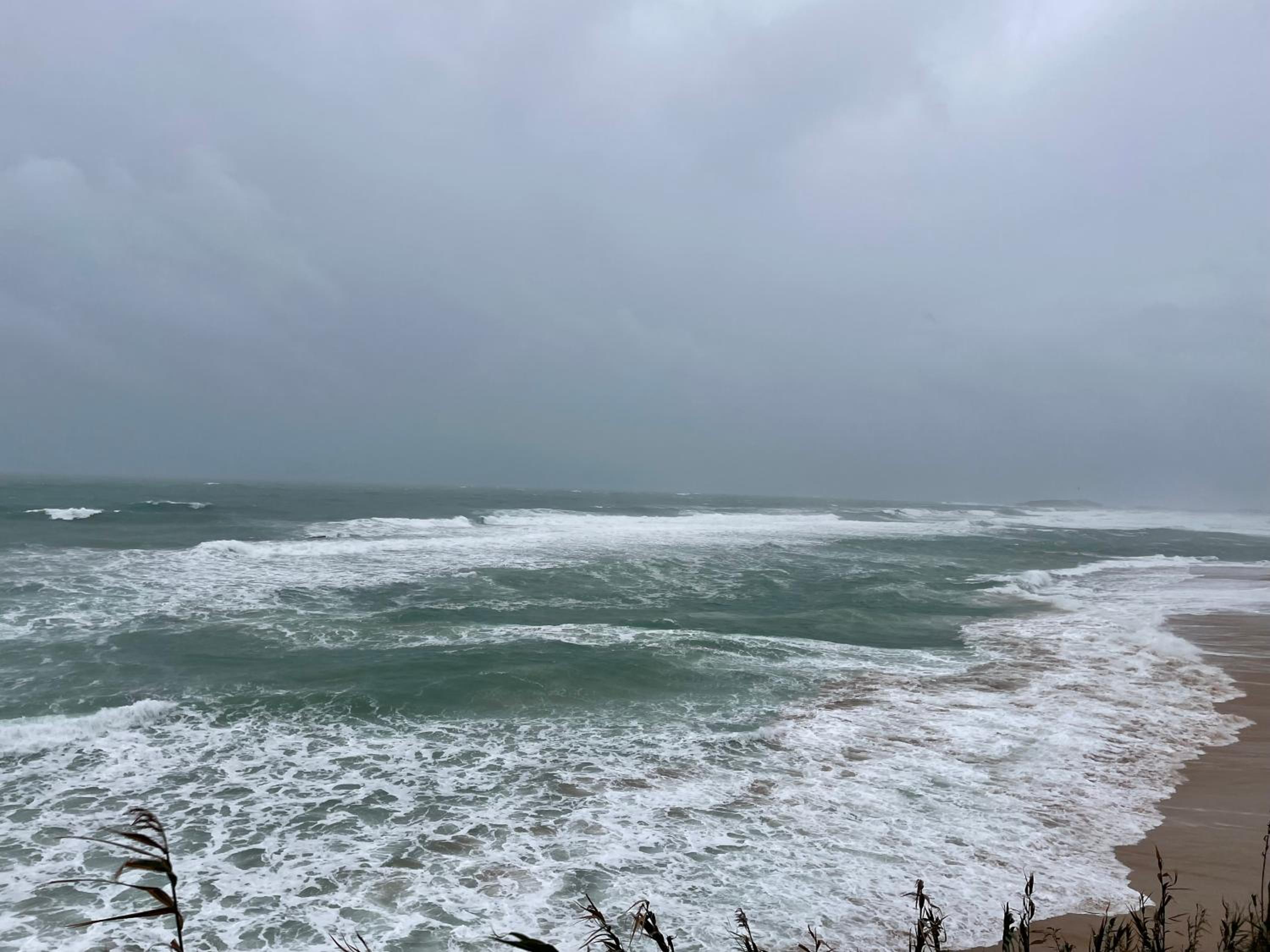 La Sirena del Viento