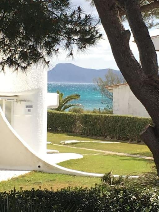casa pino (playa de muro) Mallorca view 3