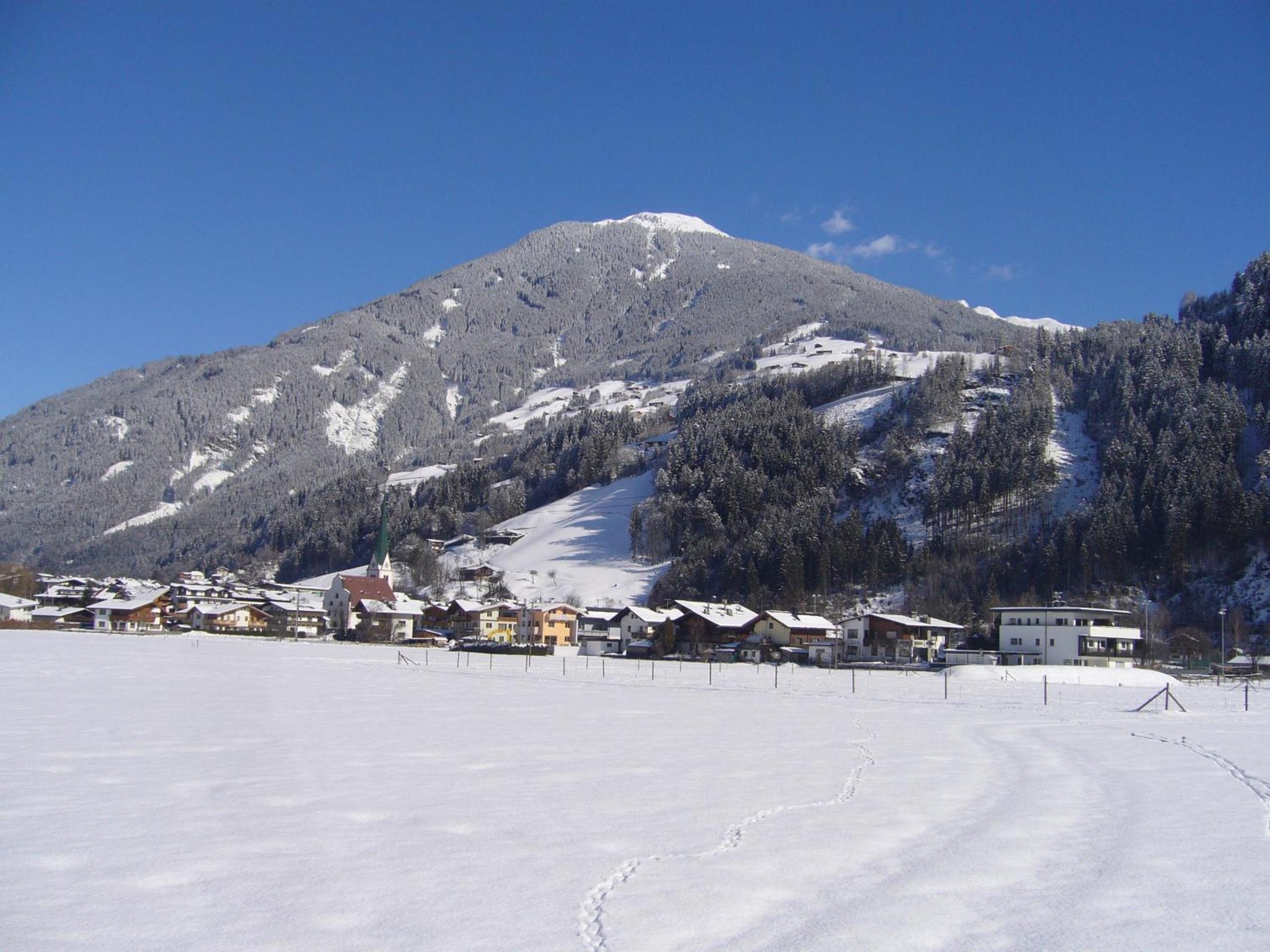 Photo 41