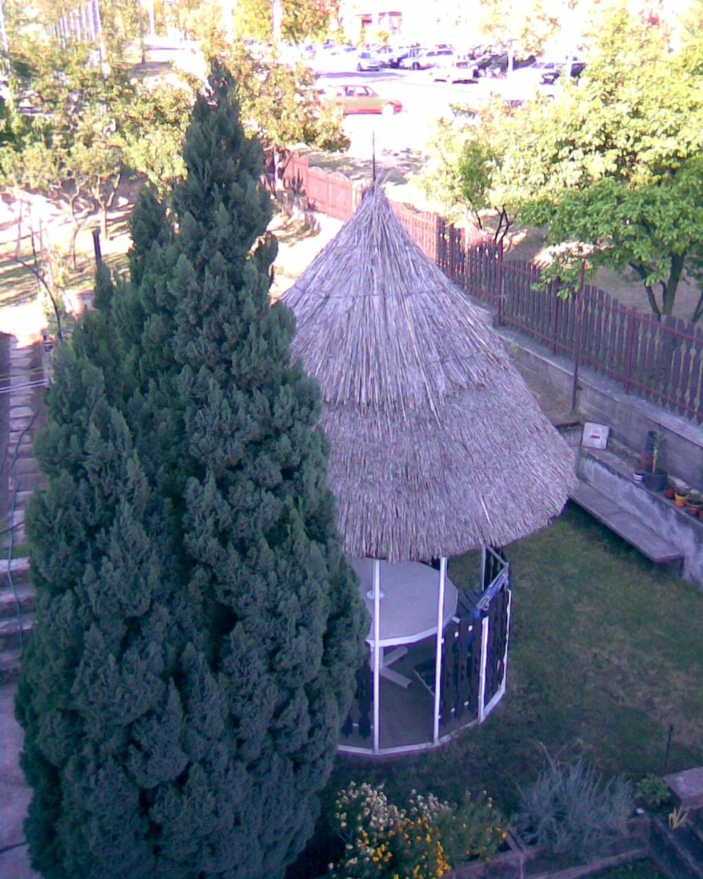 Photo 33