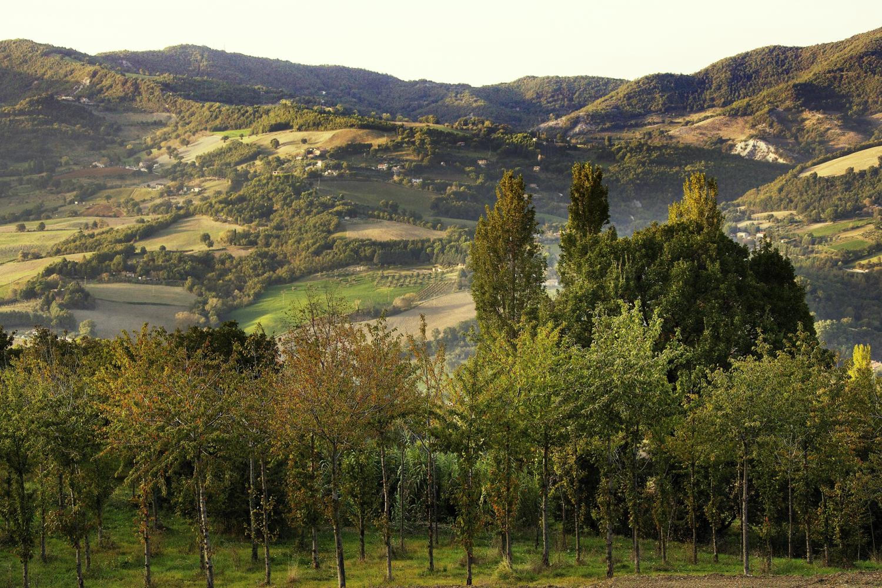 Agriturismo La Castellana photo 5
