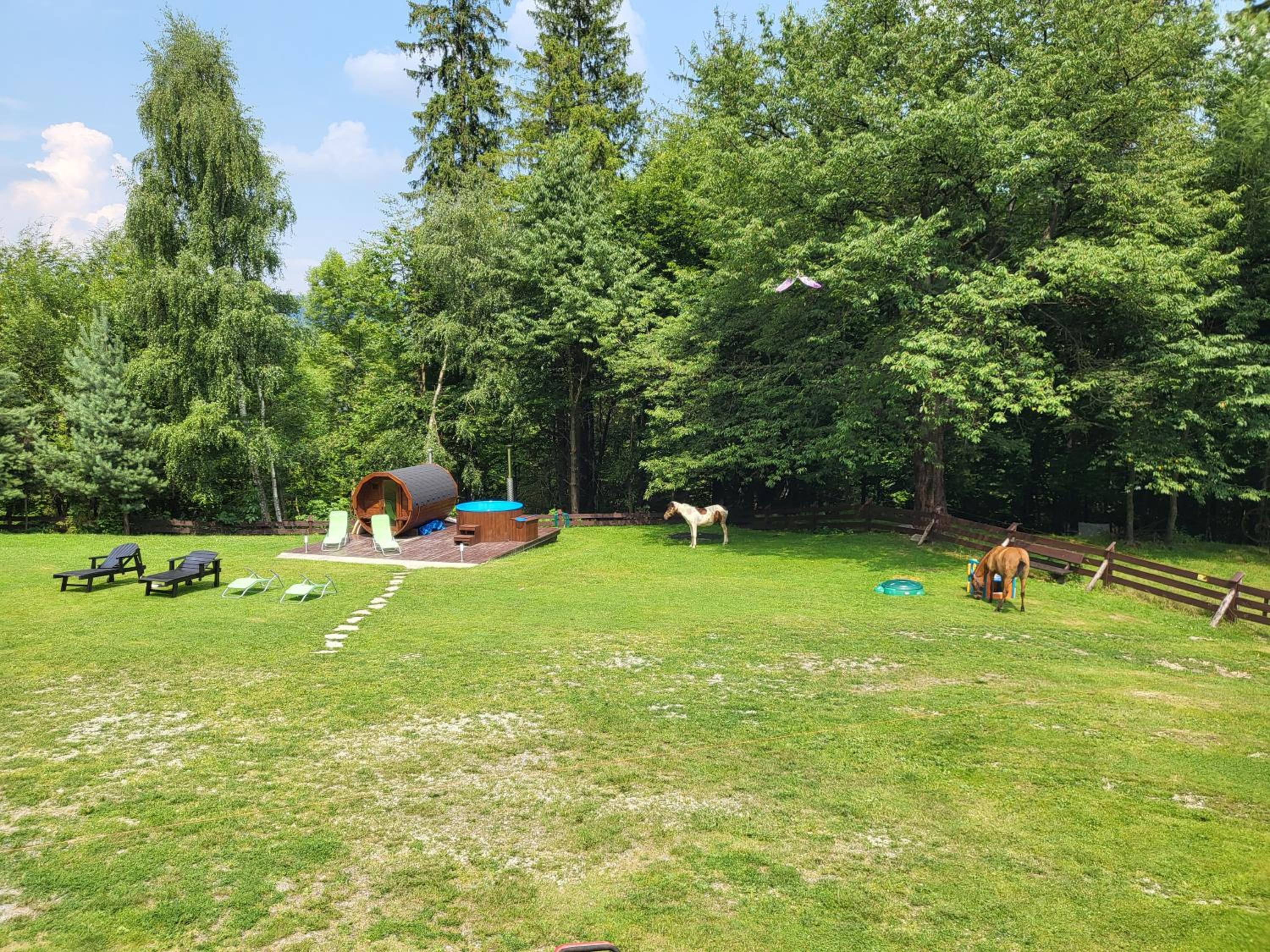Apartament Buczyna view 5