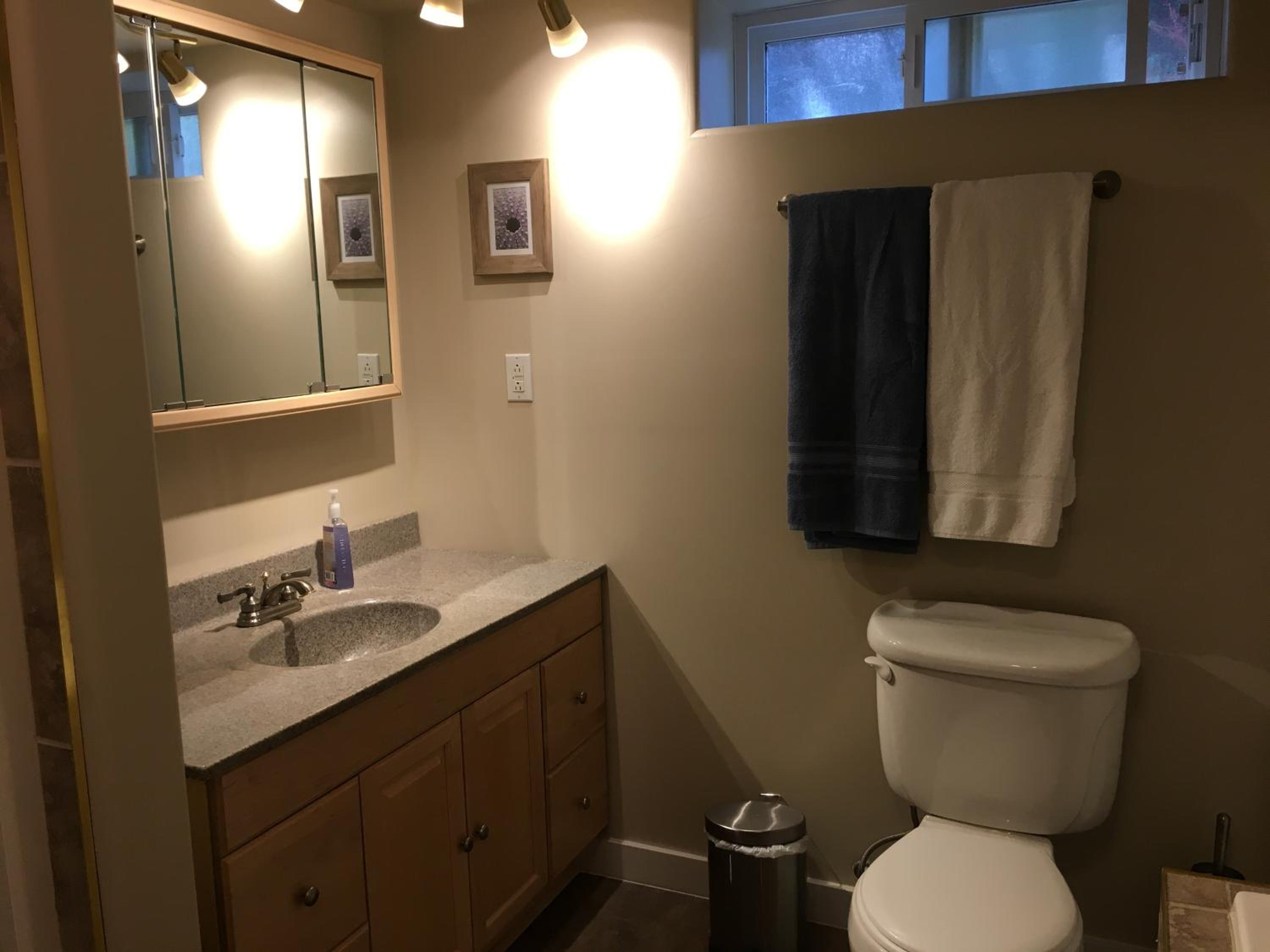 Shuswap, Sun Filled, Pet Friendly, Beach Cottage & Suite