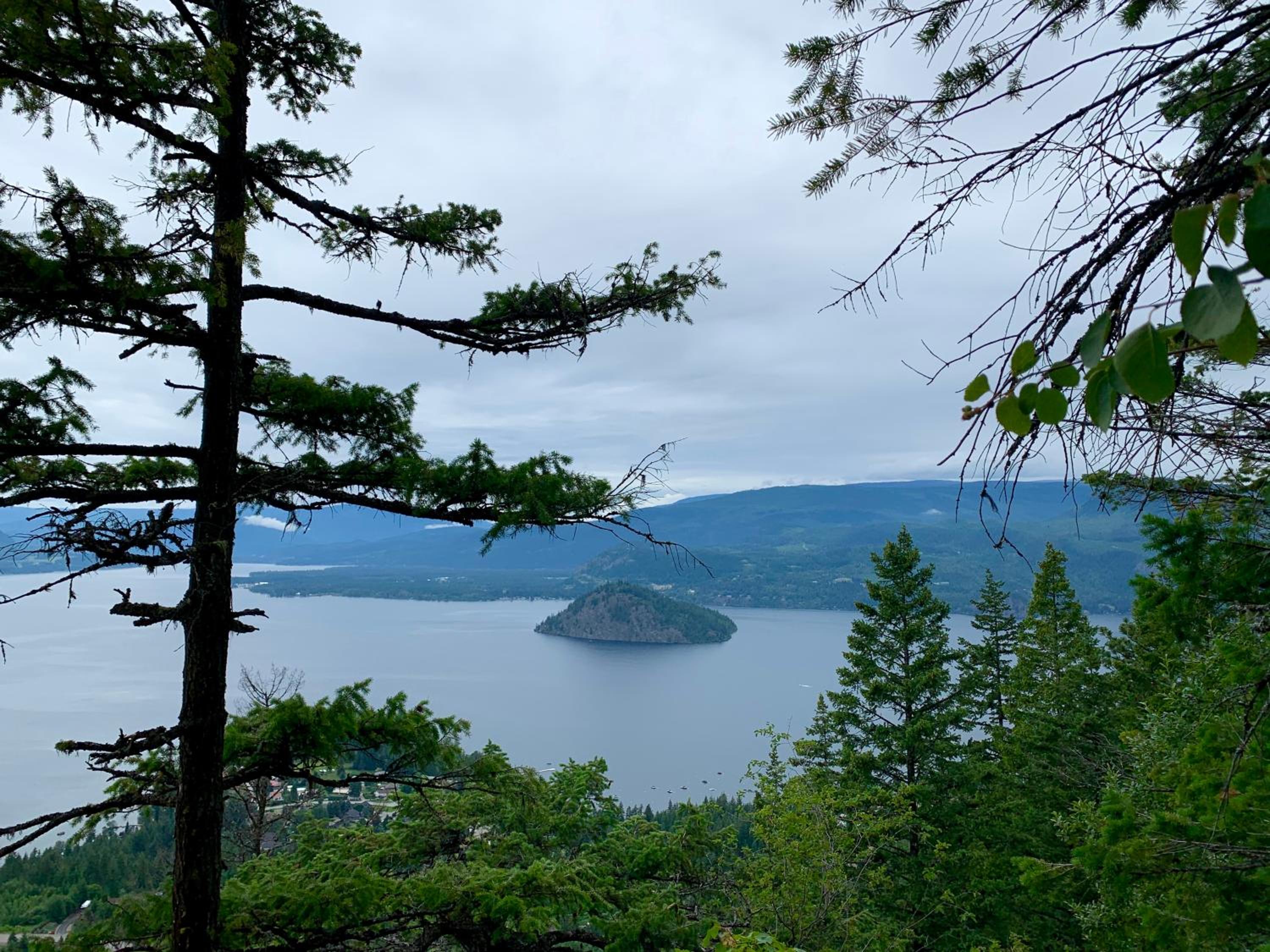 Shuswap, Sun Filled, Pet Friendly, Beach Cottage & Suite