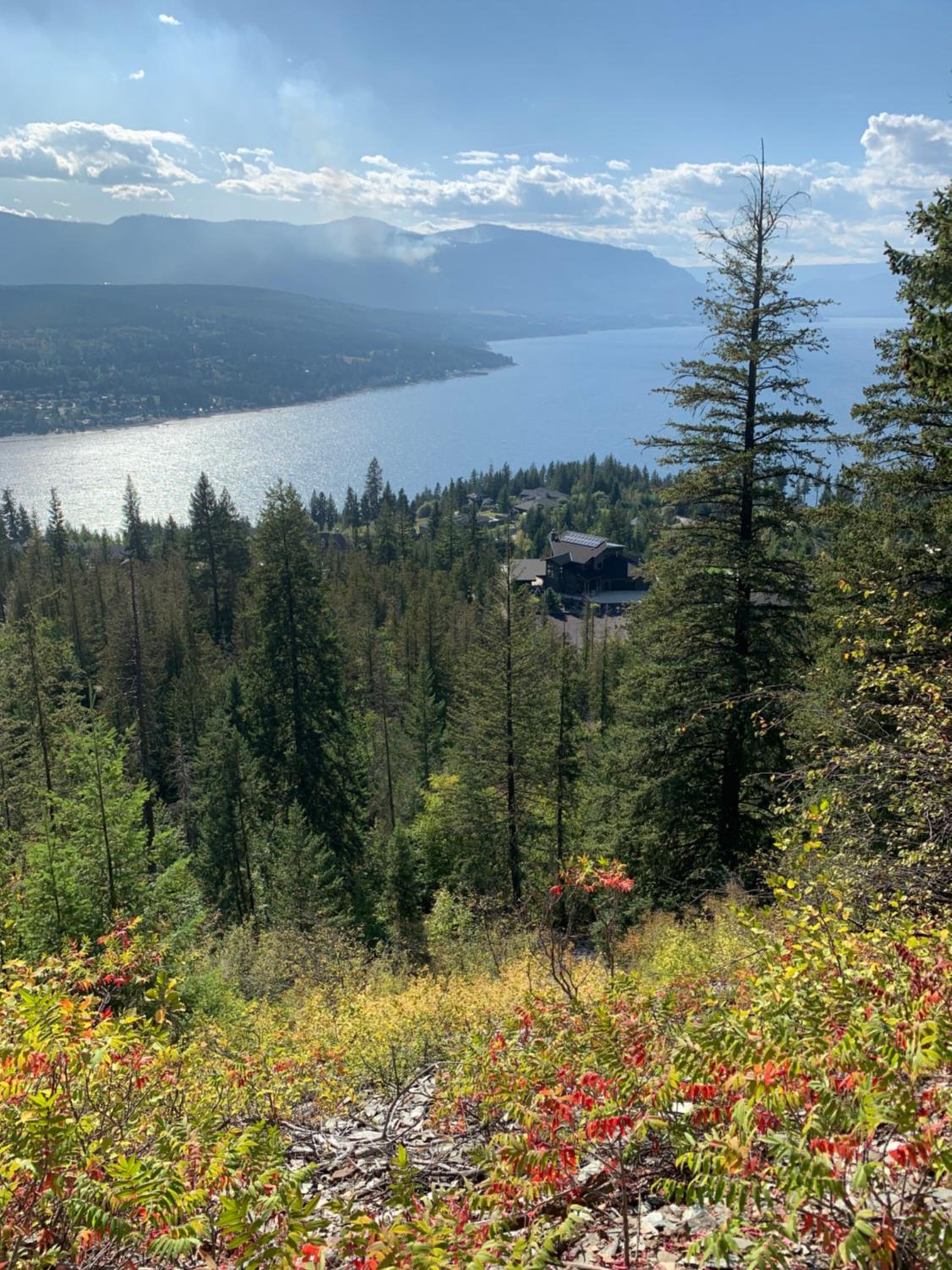 Shuswap, Sun Filled, Pet Friendly, Beach Cottage & Suite