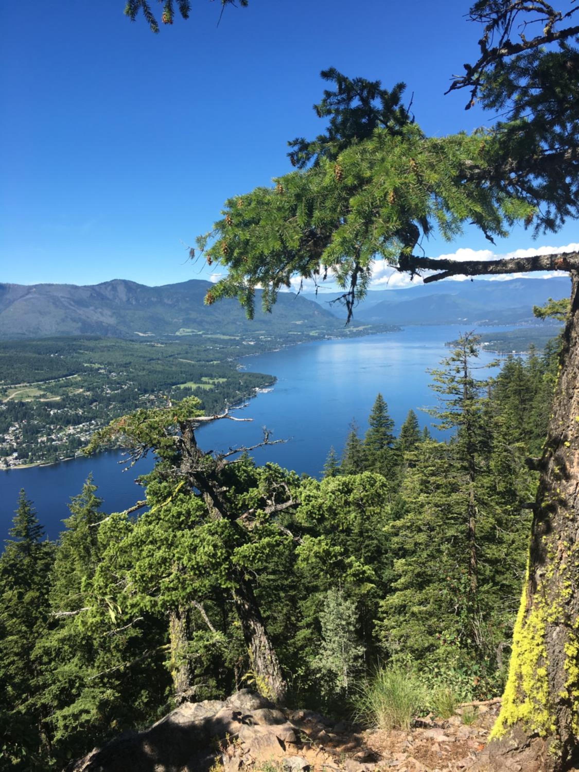 Shuswap, Sun Filled, Pet Friendly, Beach Cottage & Suite