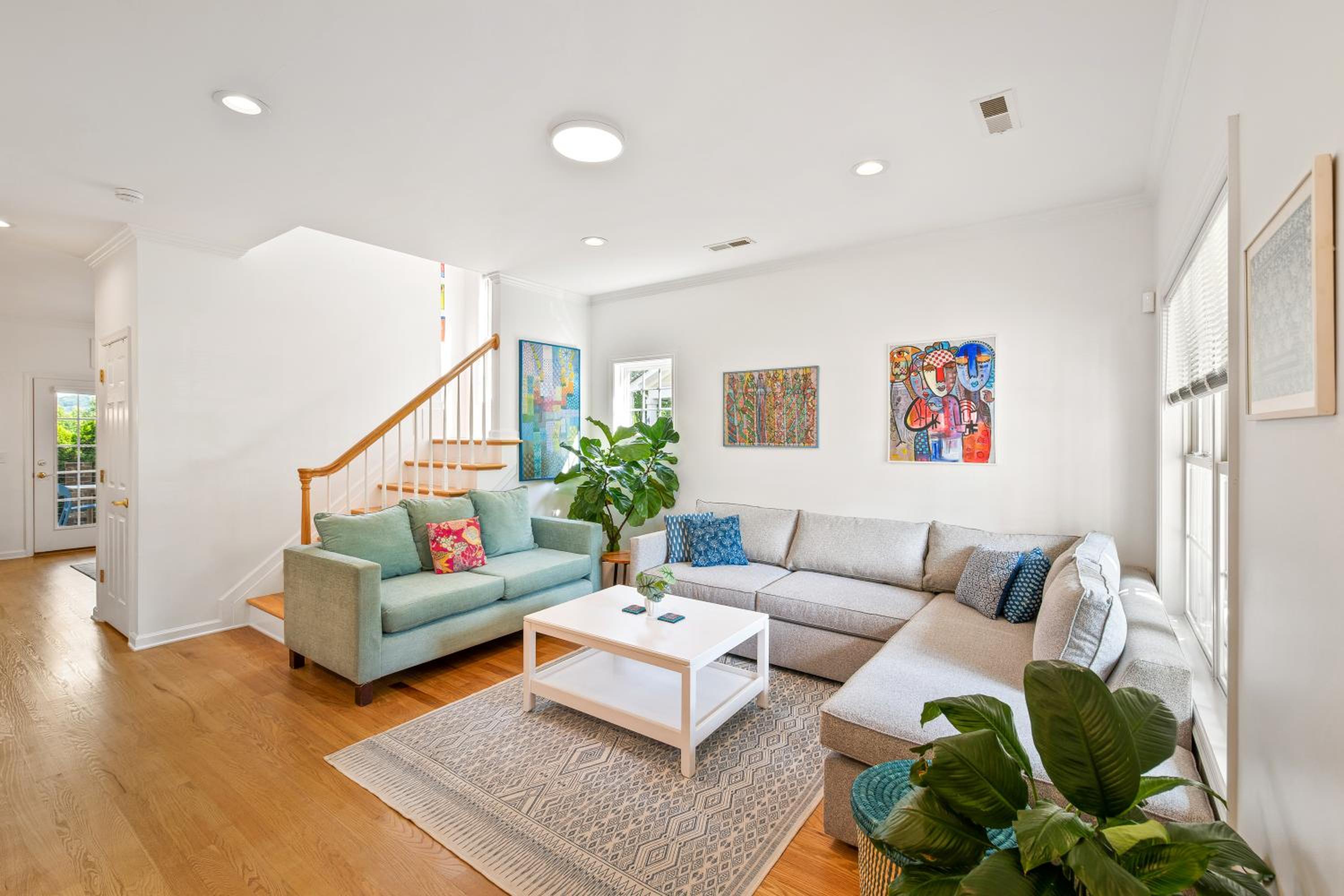Belmont Oasis I Downtown Cville view 3