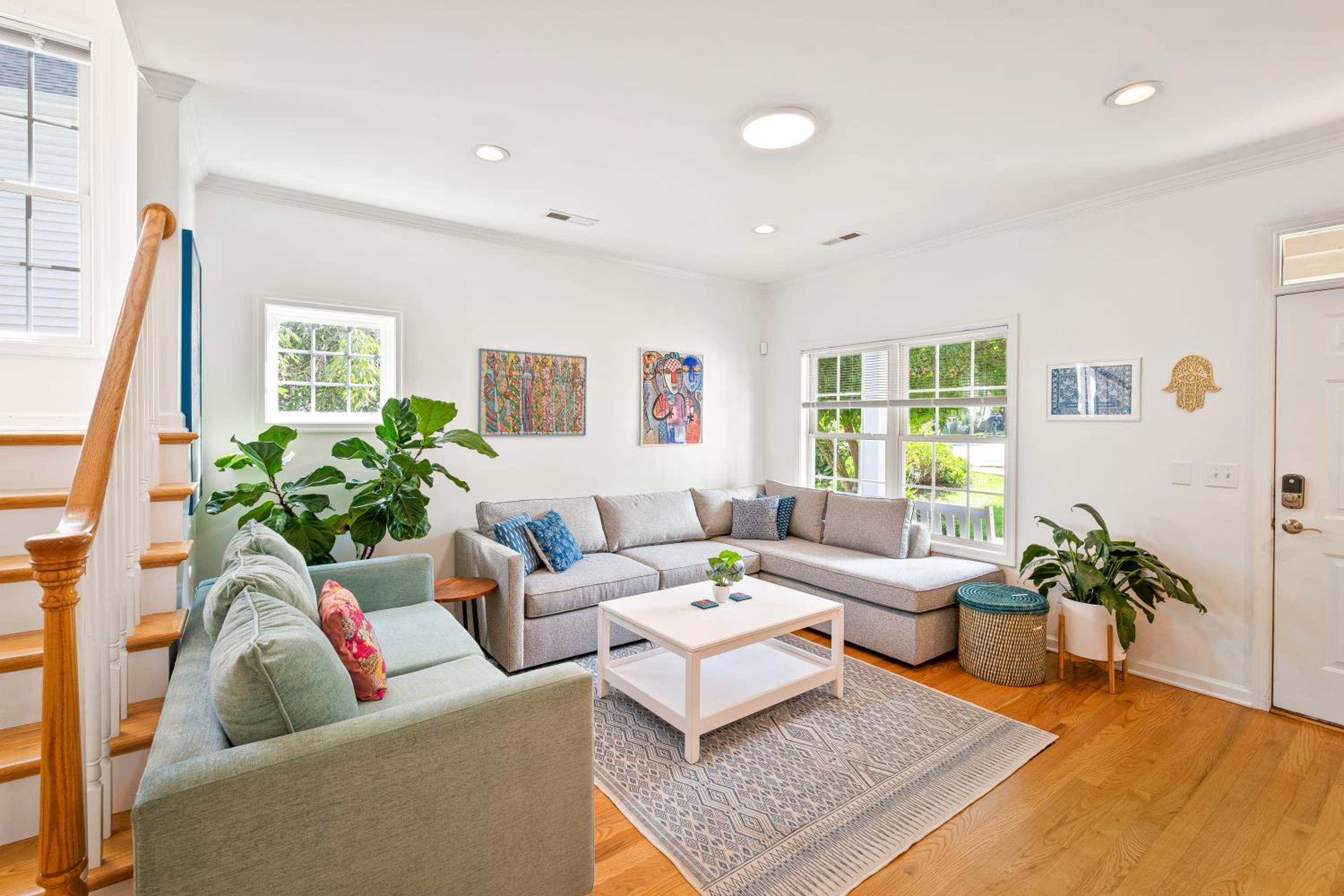 Belmont Oasis I Downtown Cville view 4
