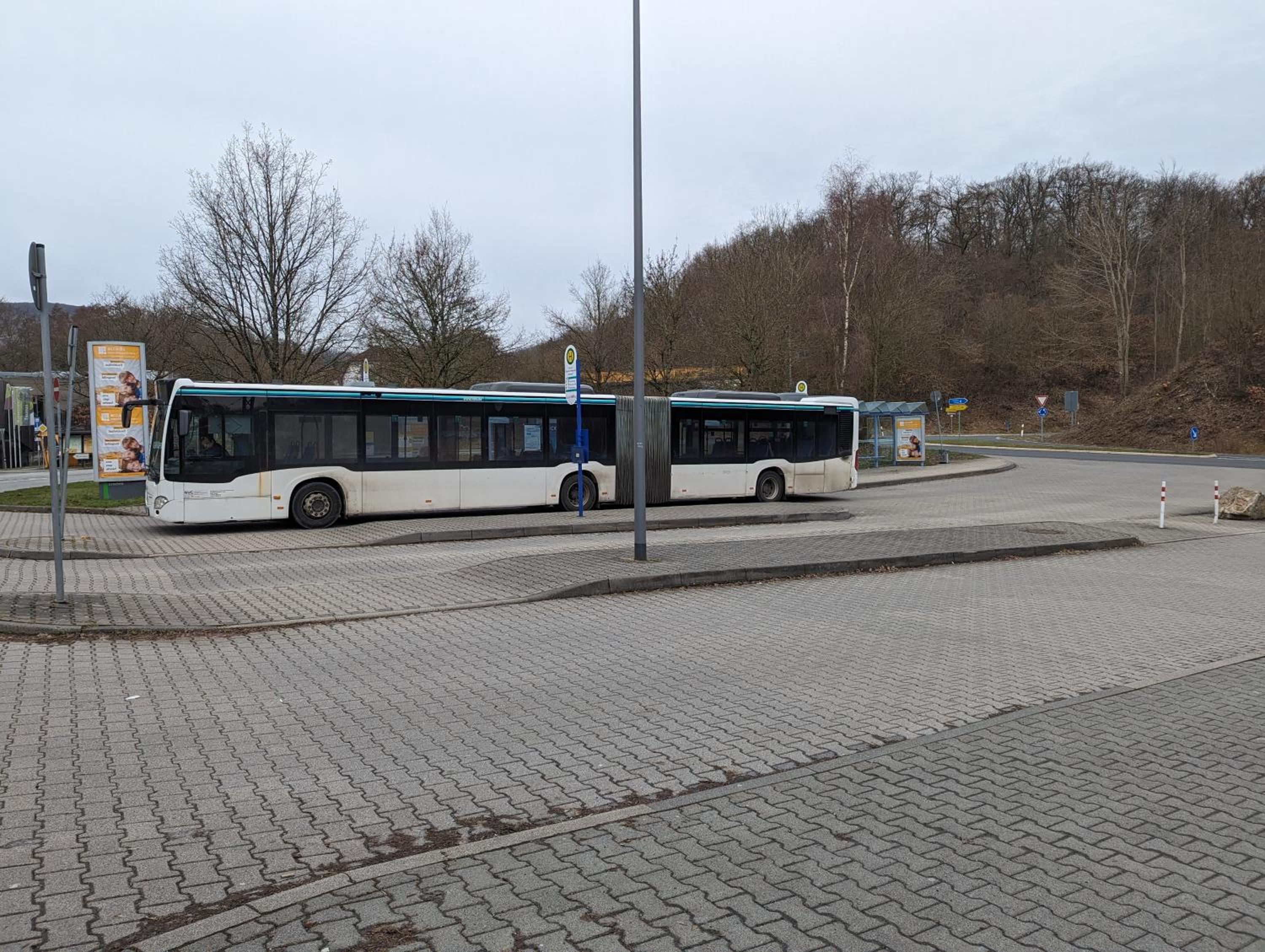 Keltenpfad-Taunus Naturnah