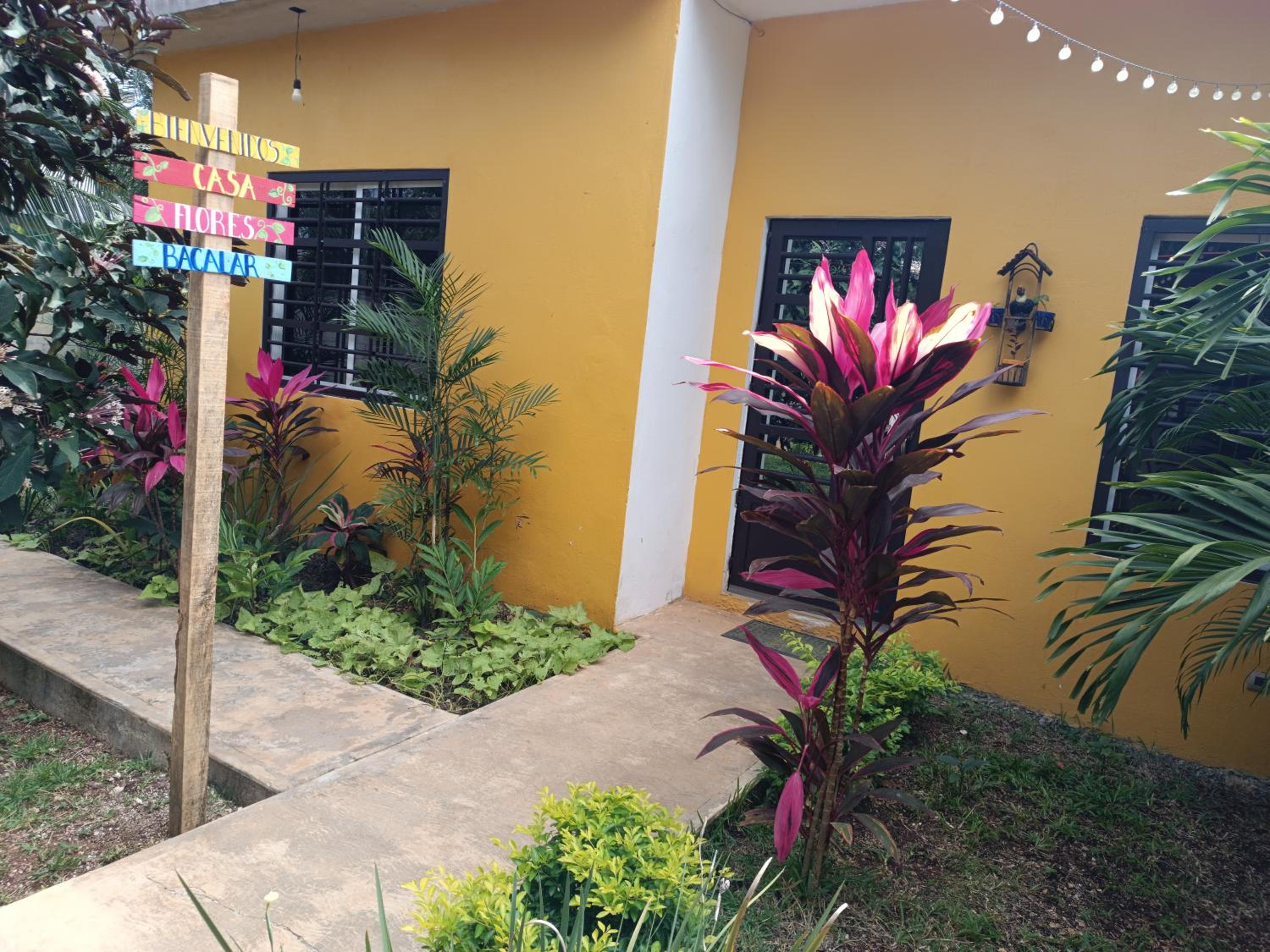 casa flores view 3