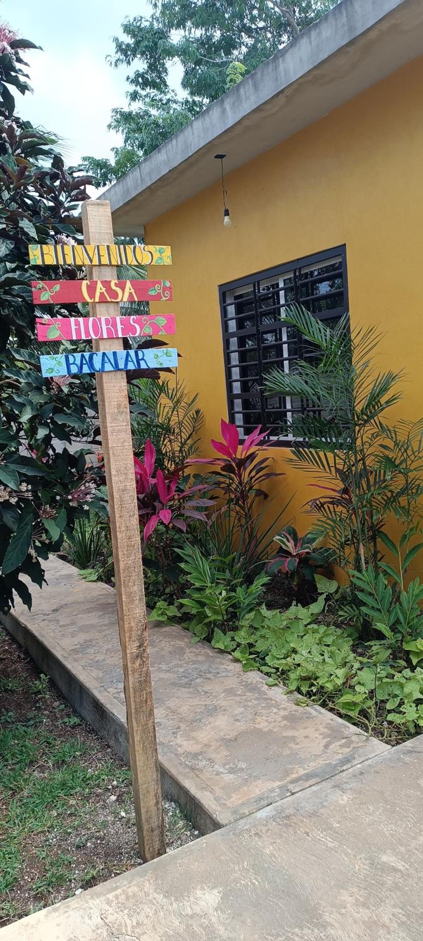 casa flores view 2