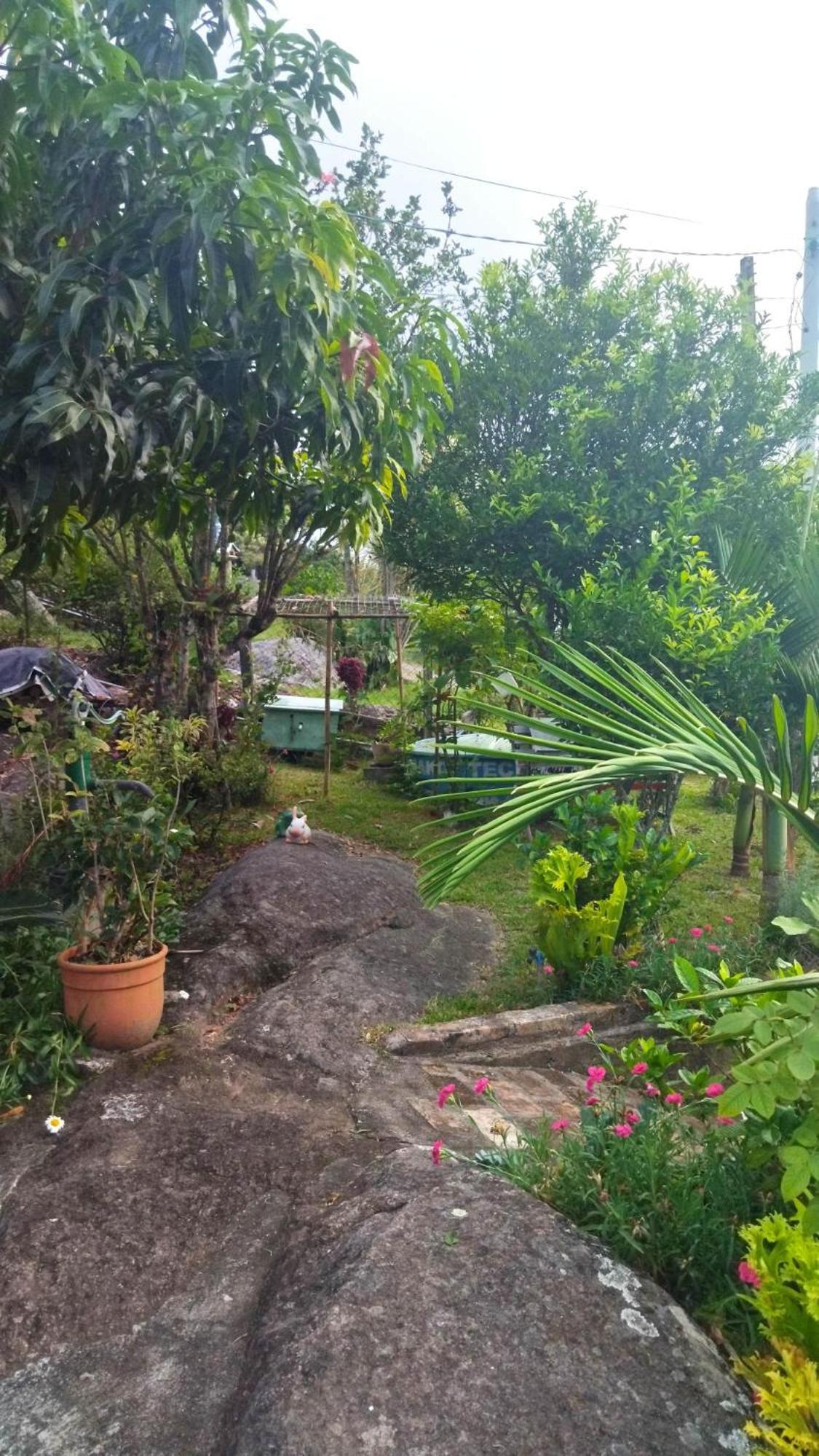 Casa Inteira em Jurerê In e vista panorâmica
