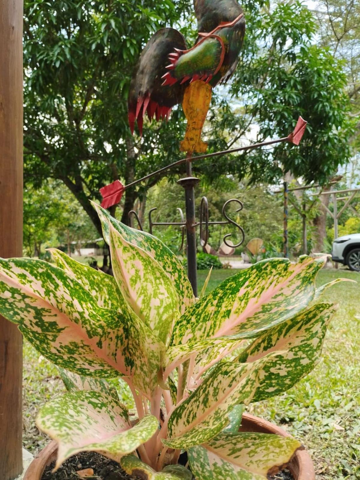 CisneCisneros