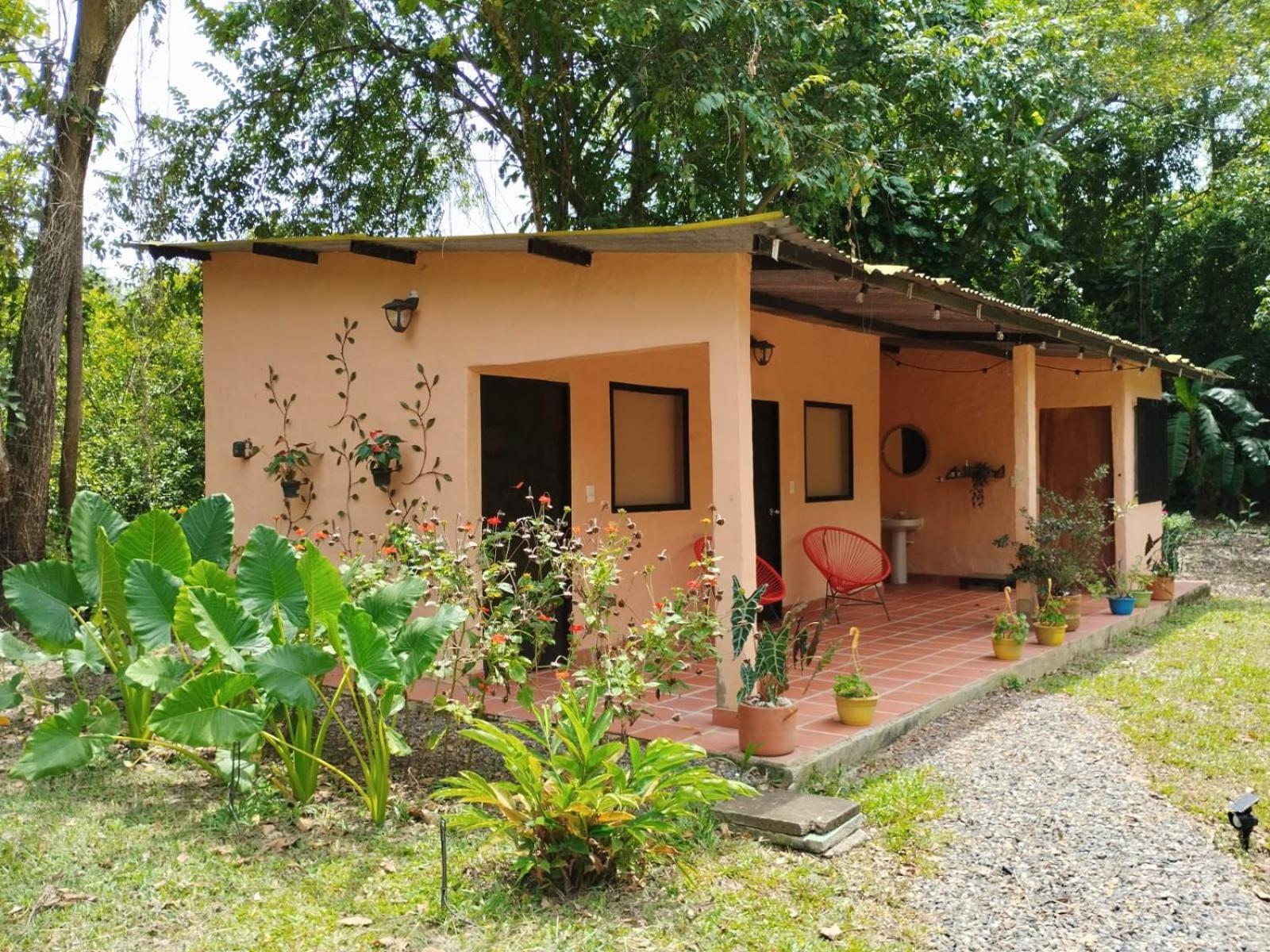 CisneCisneros