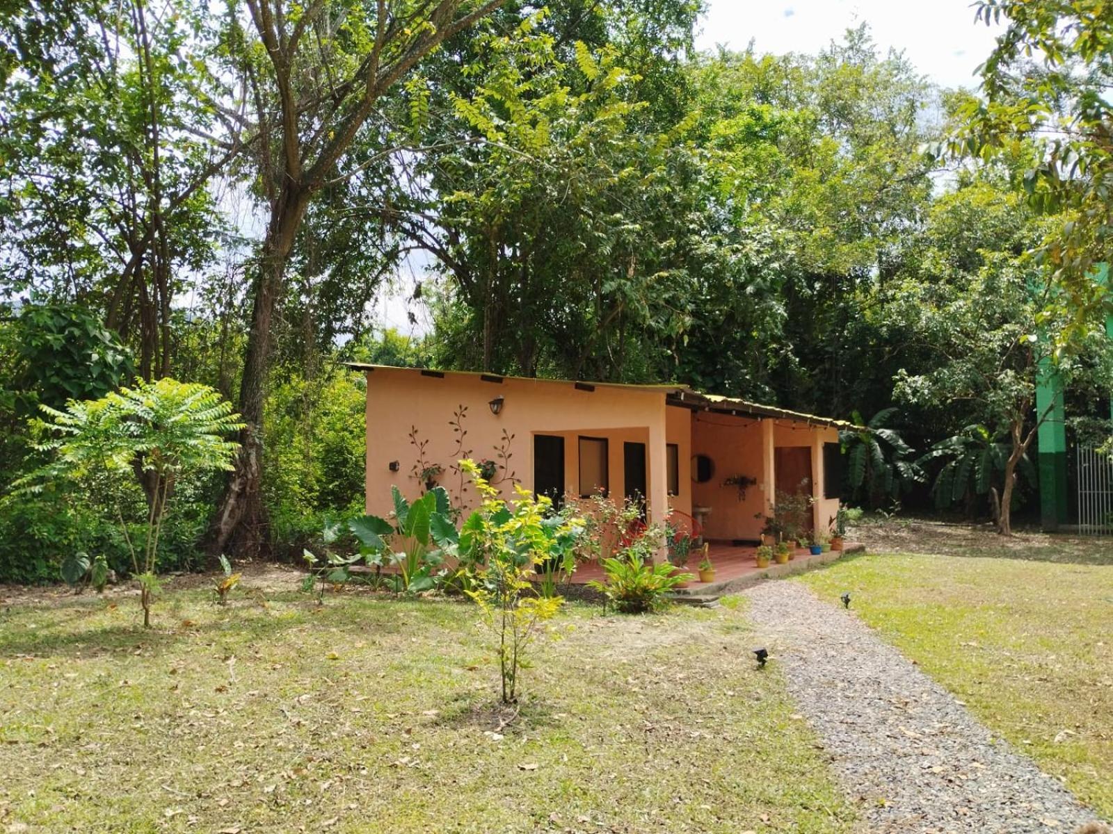 CisneCisneros