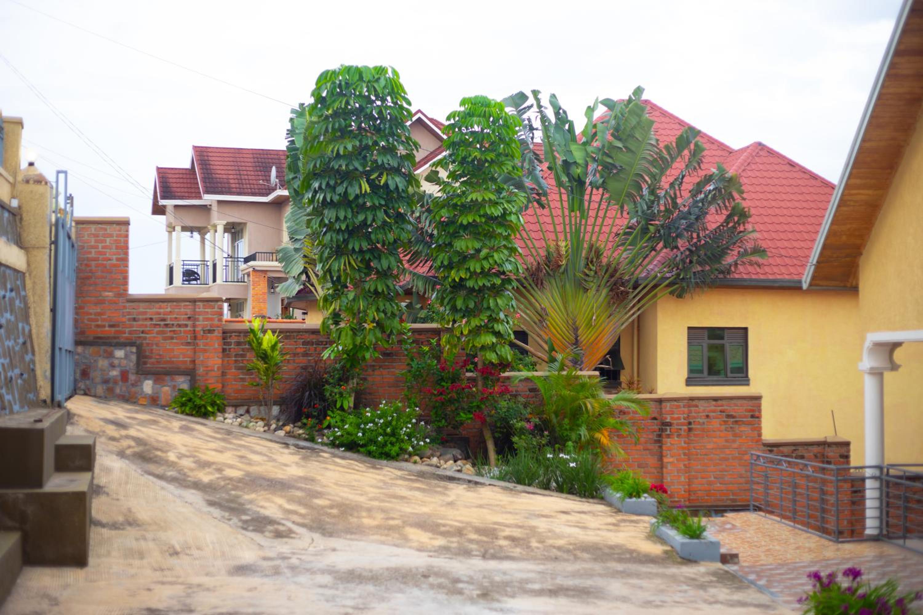 Photo 46