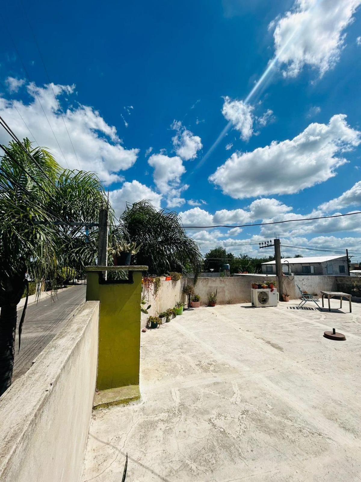 roof