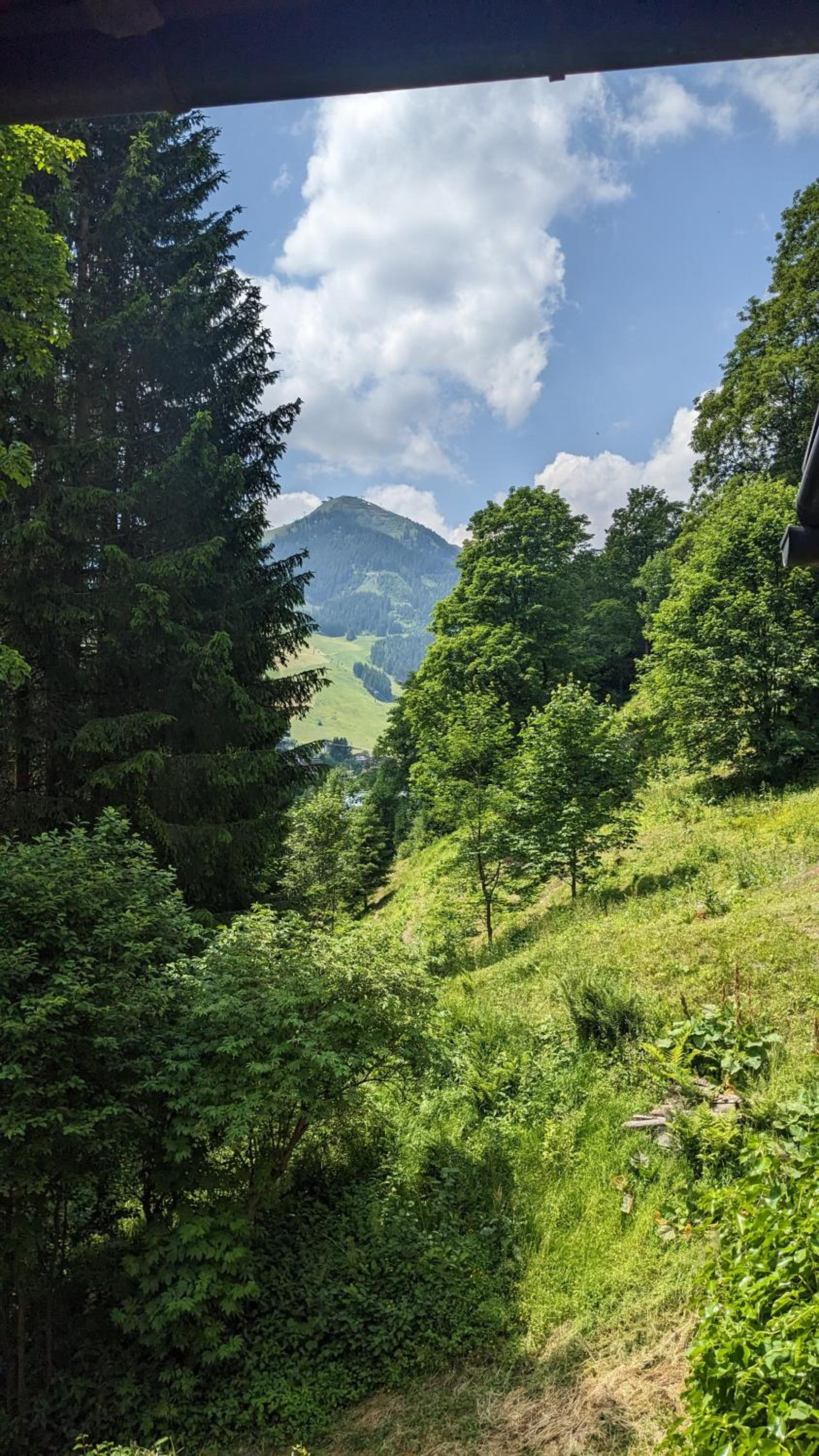 Chalet Apartments Ferius inklusive Jokercard im Sommer