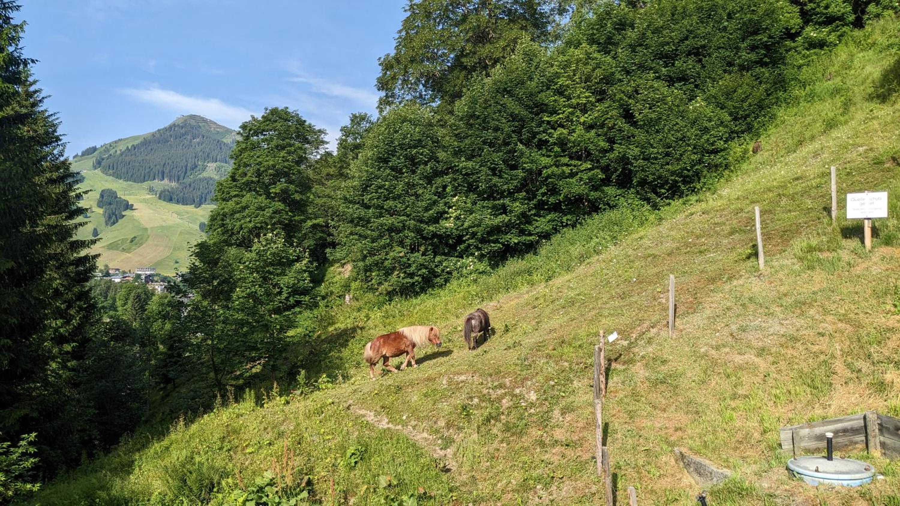 Chalet Apartments Ferius inklusive Jokercard im Sommer