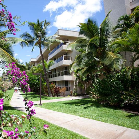 Hotel NEW Luxury Condo at Kameole Beach - Image 1