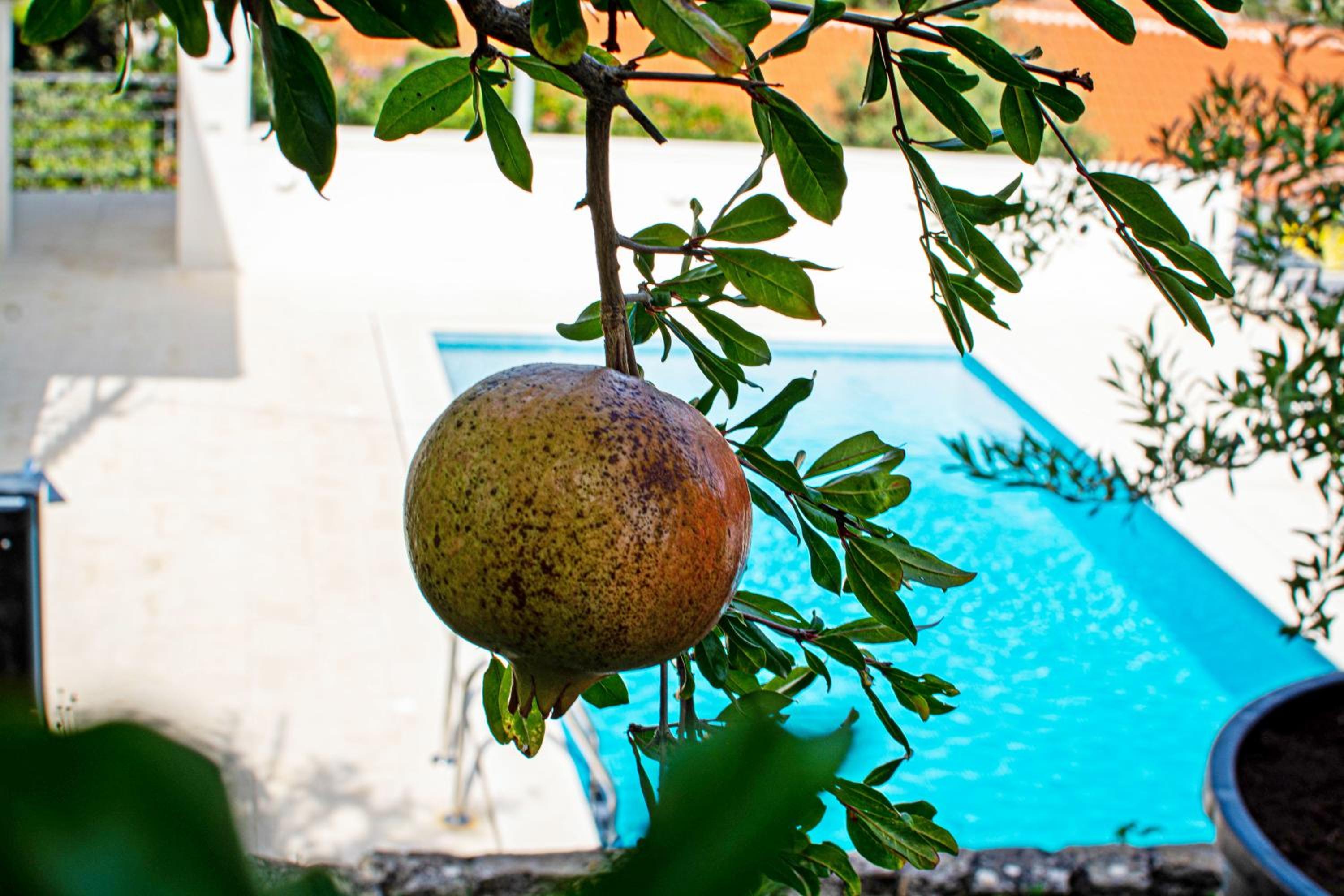 Villa Marumare