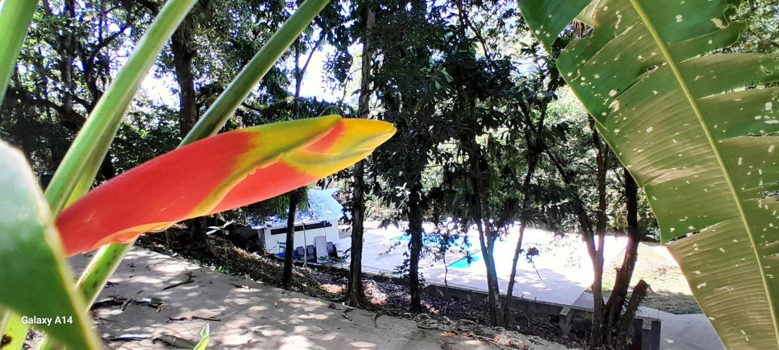 Complejo Turistico Fuga Ecolodge