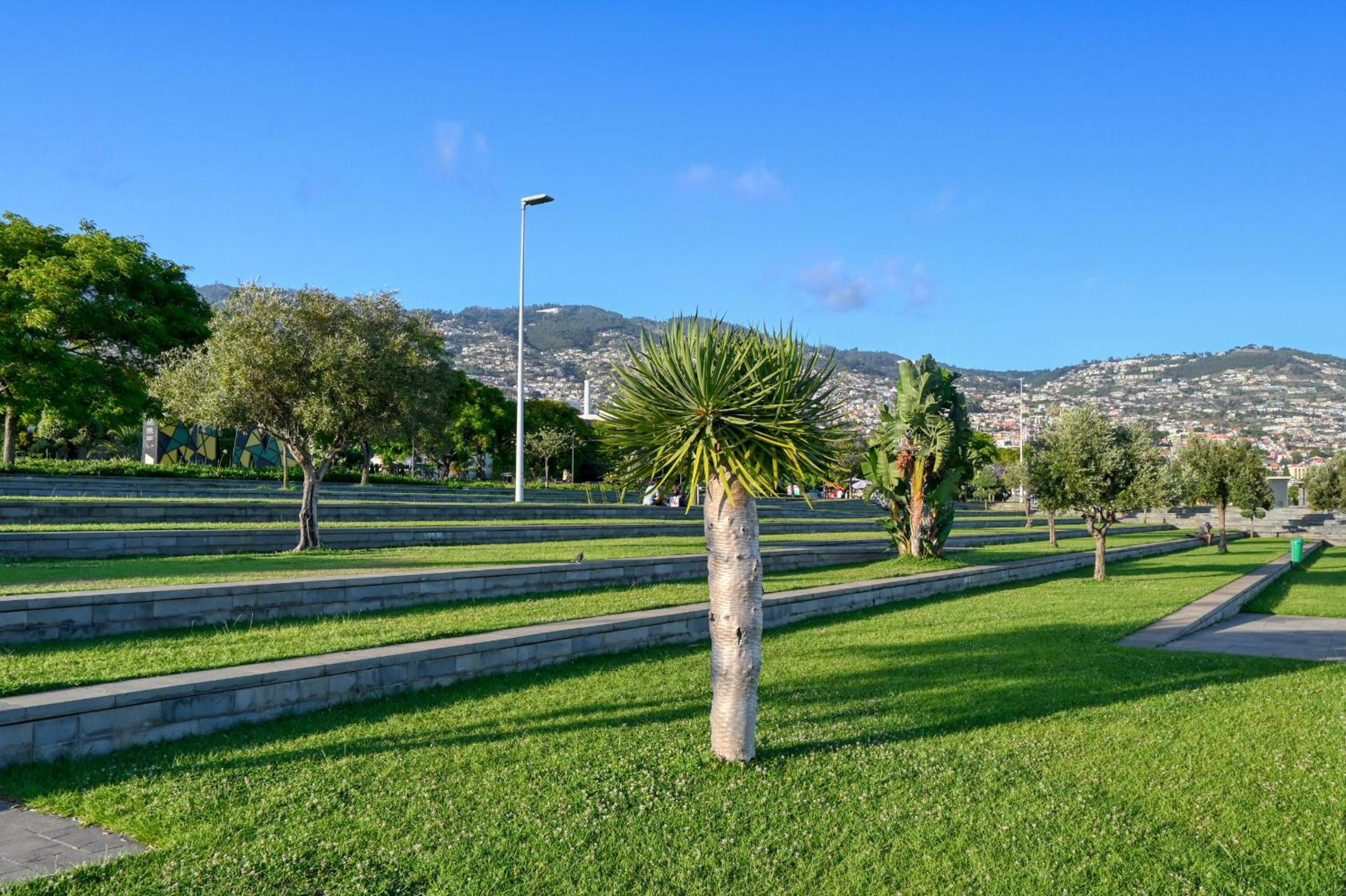 Beco Santa Emilia 4P, a Home in Madeira view 3