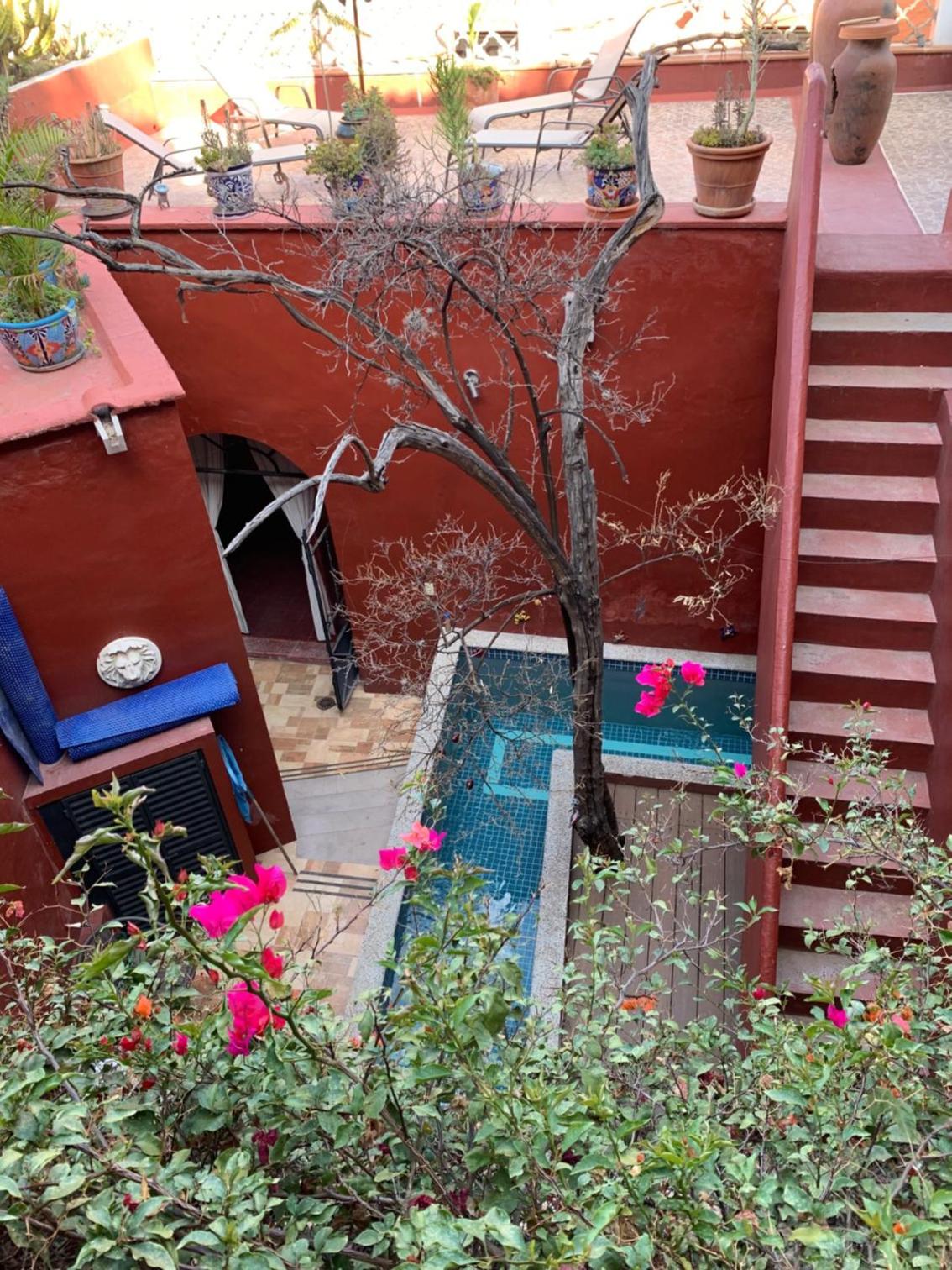 Antigua Casa del Limon view 2