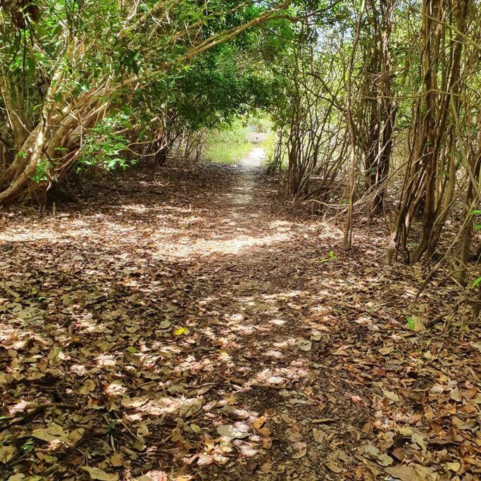 Alter do Chão, suite master+2 dormitórios c/A.C. paz e natureza a 100m da praia do Lago Verde e 500m da Ilha do Amor