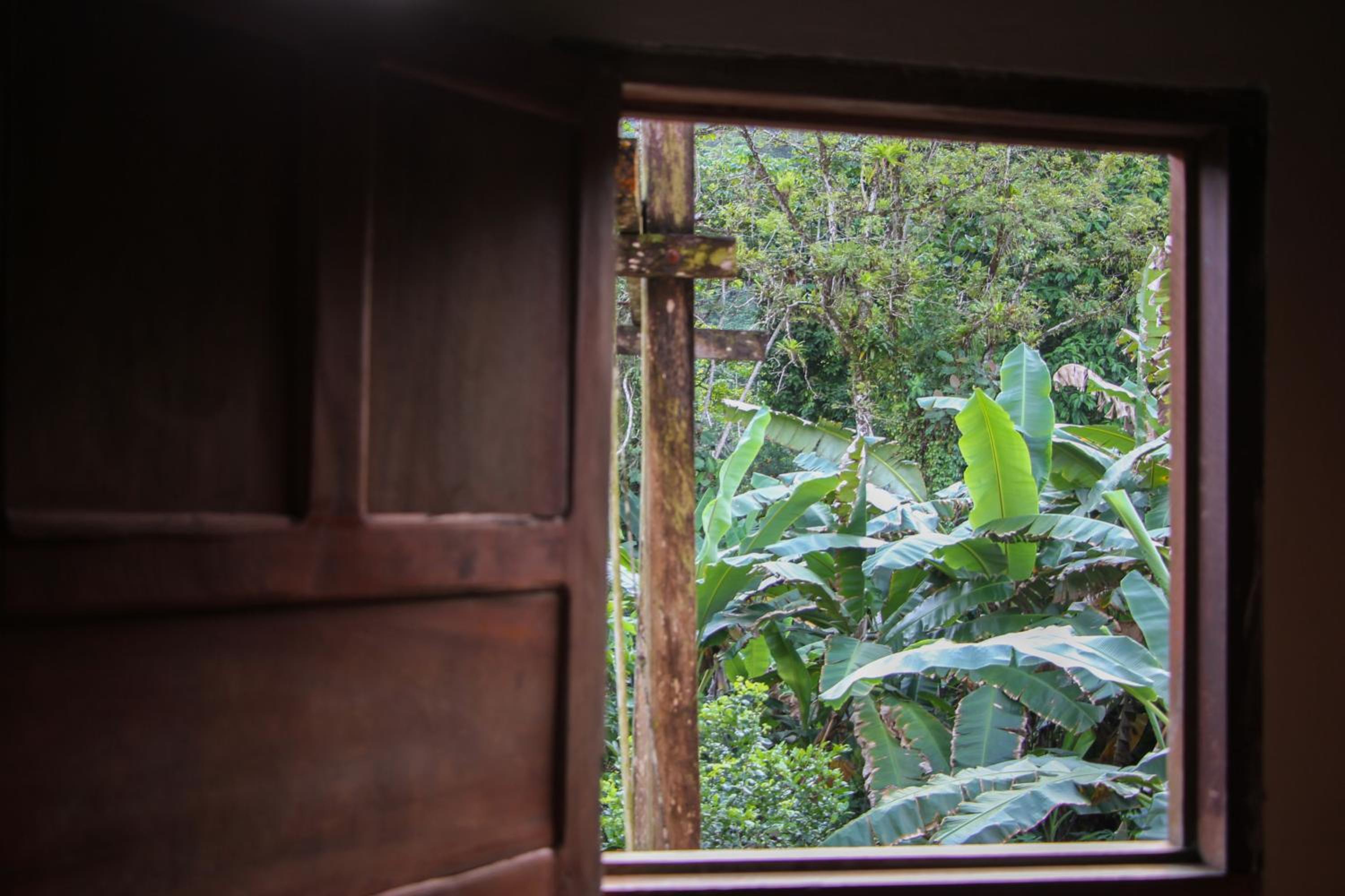 Posada Las Palmera Huina